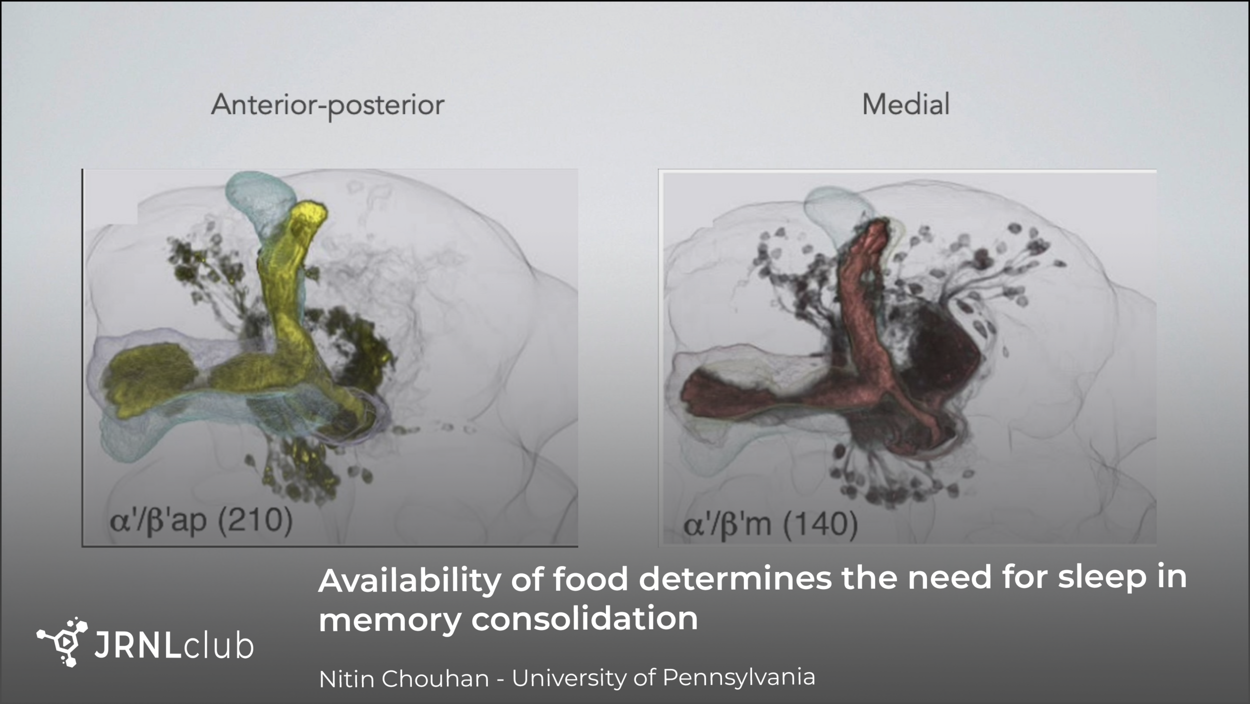 Monday, December 21, 2020