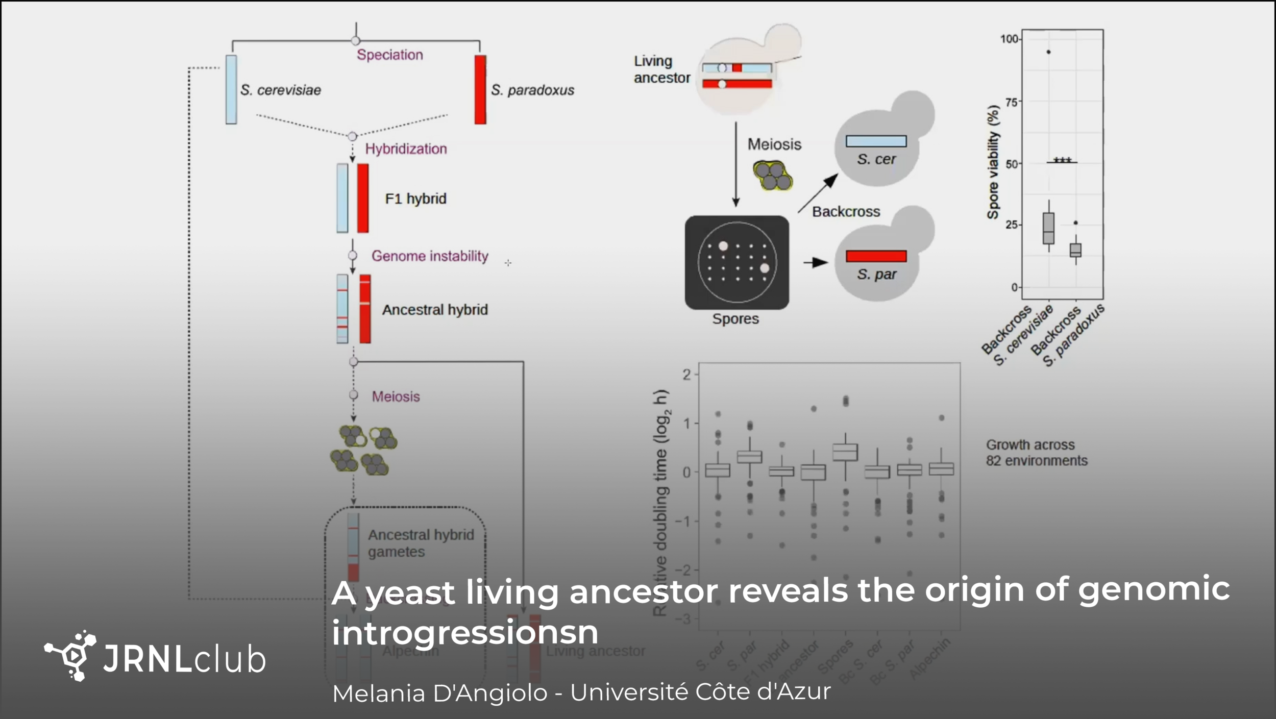 Thursday, December 24, 2020