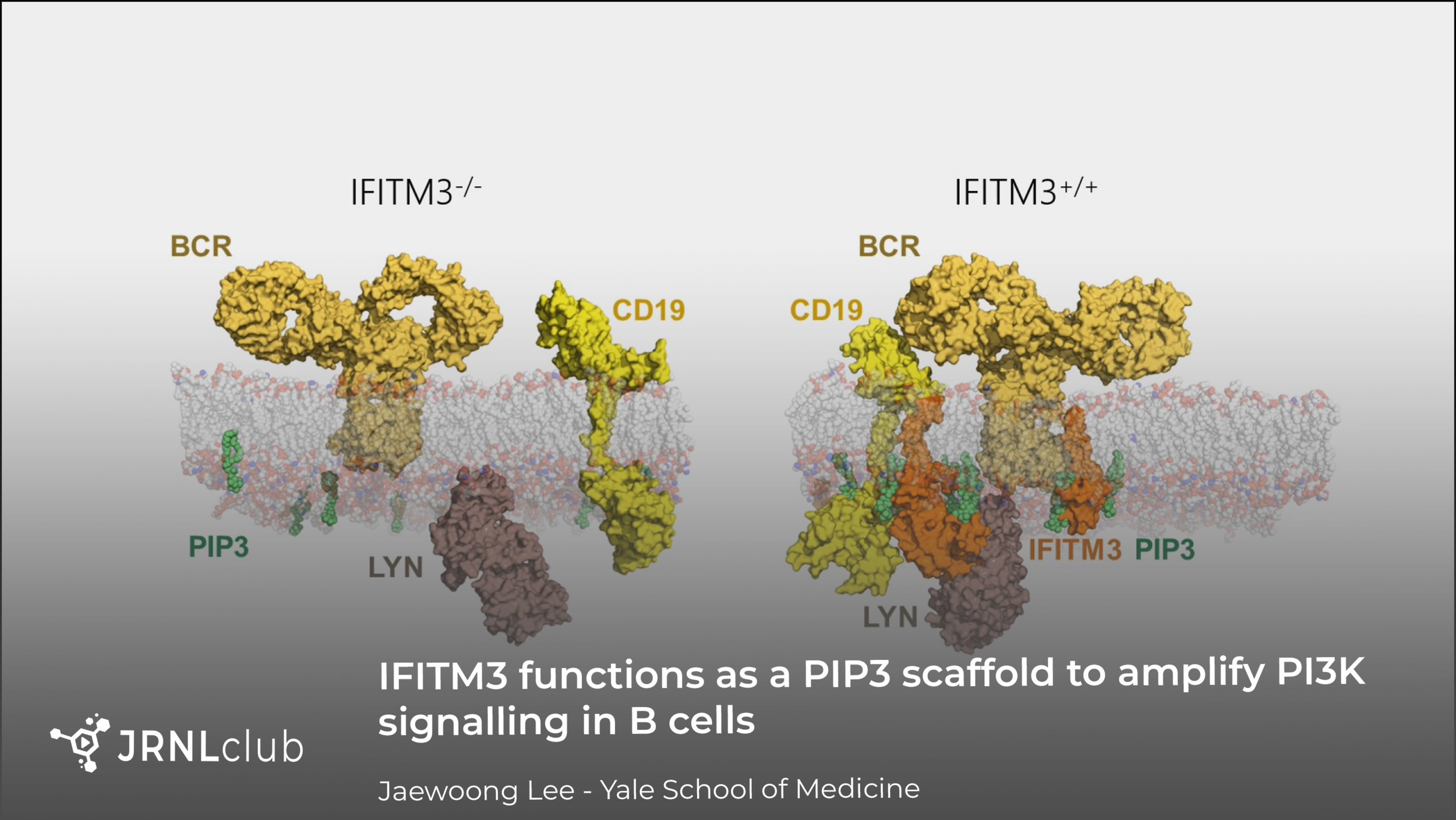 Tuesday, December 29, 2020