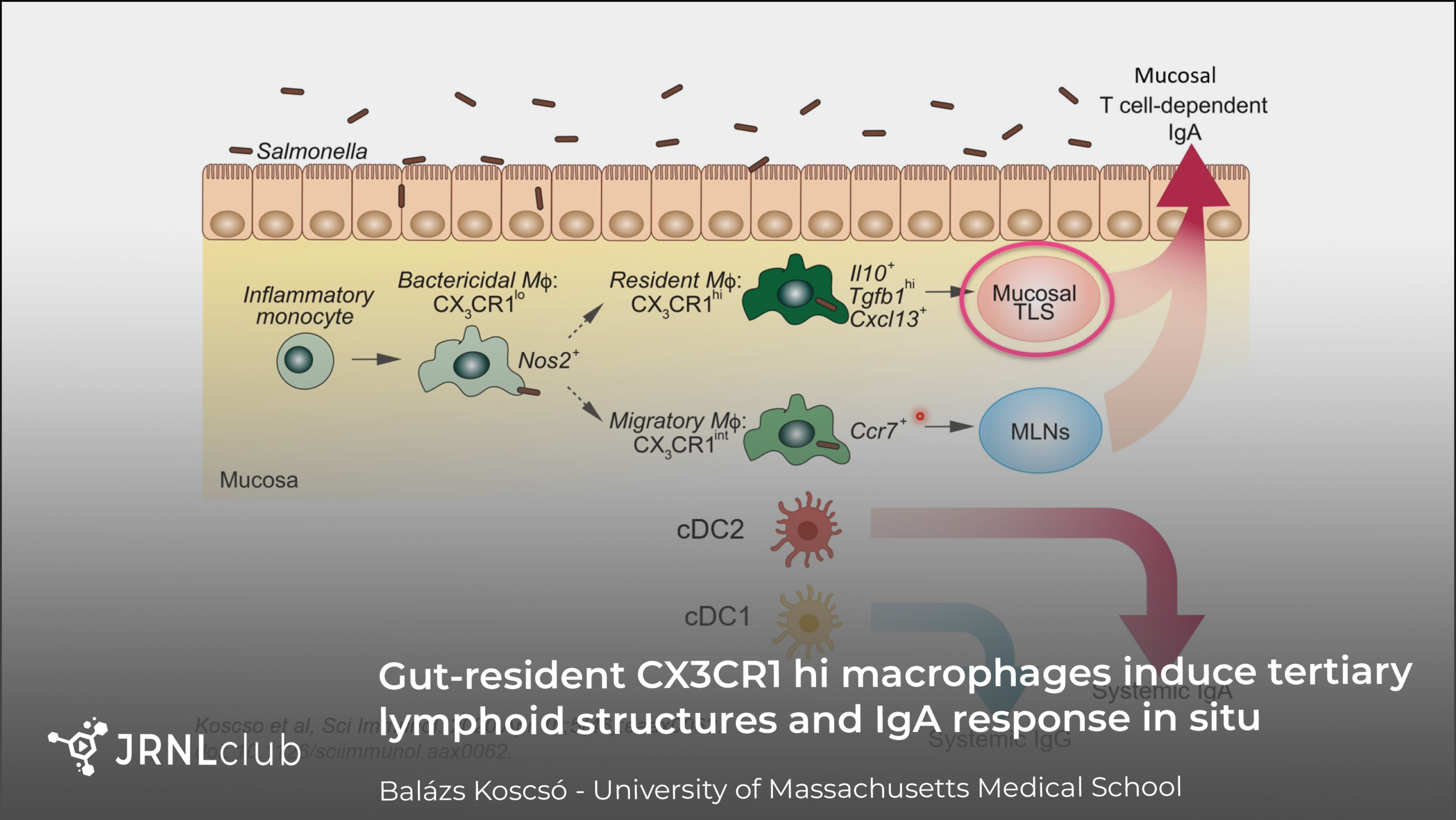 Tuesday, January 5, 2021