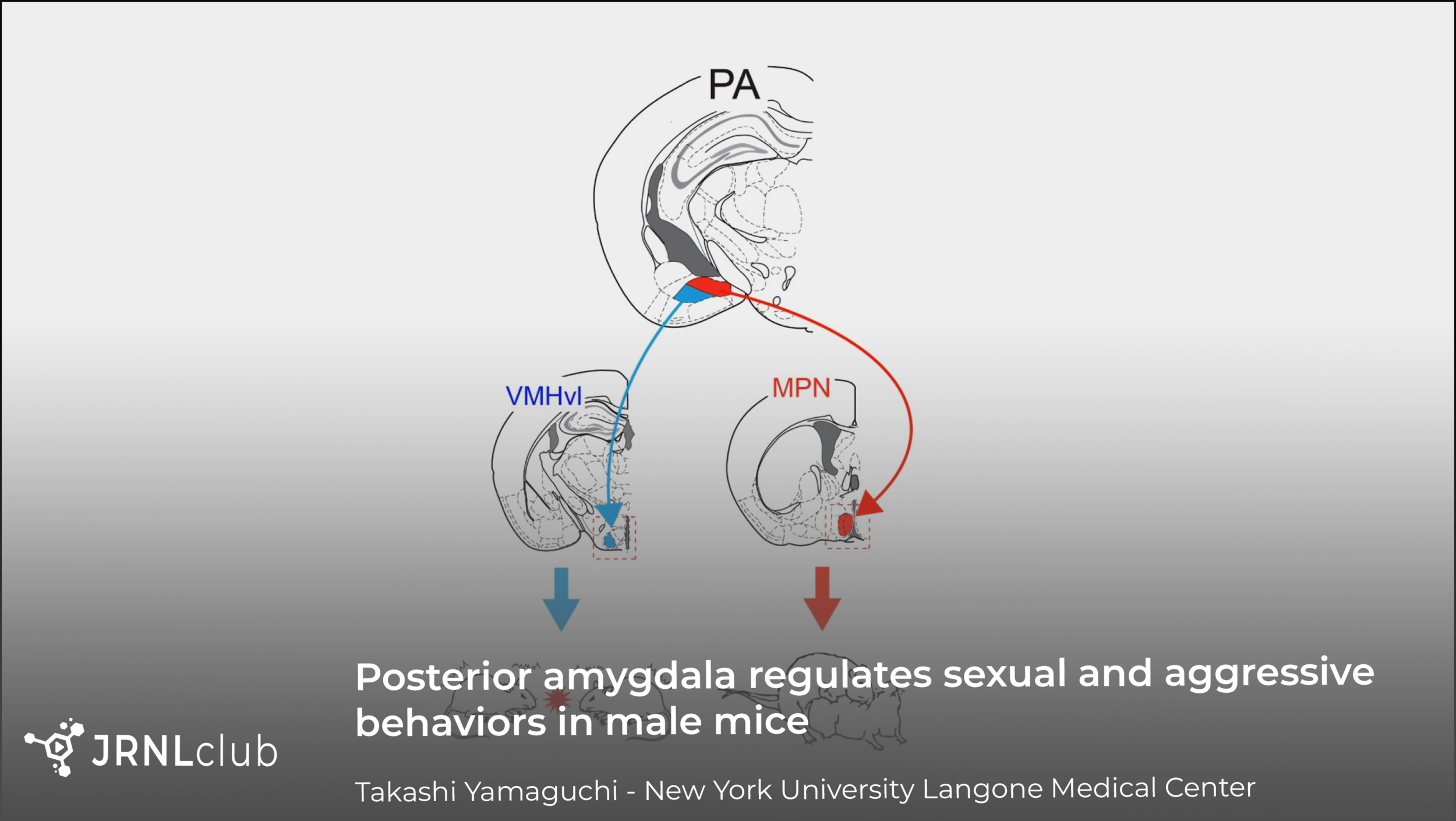 Thursday, January 13, 2021