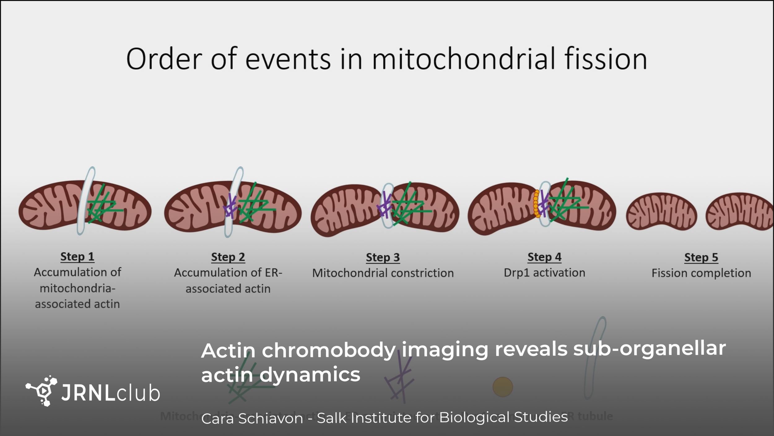 Thursday, January 28, 2021