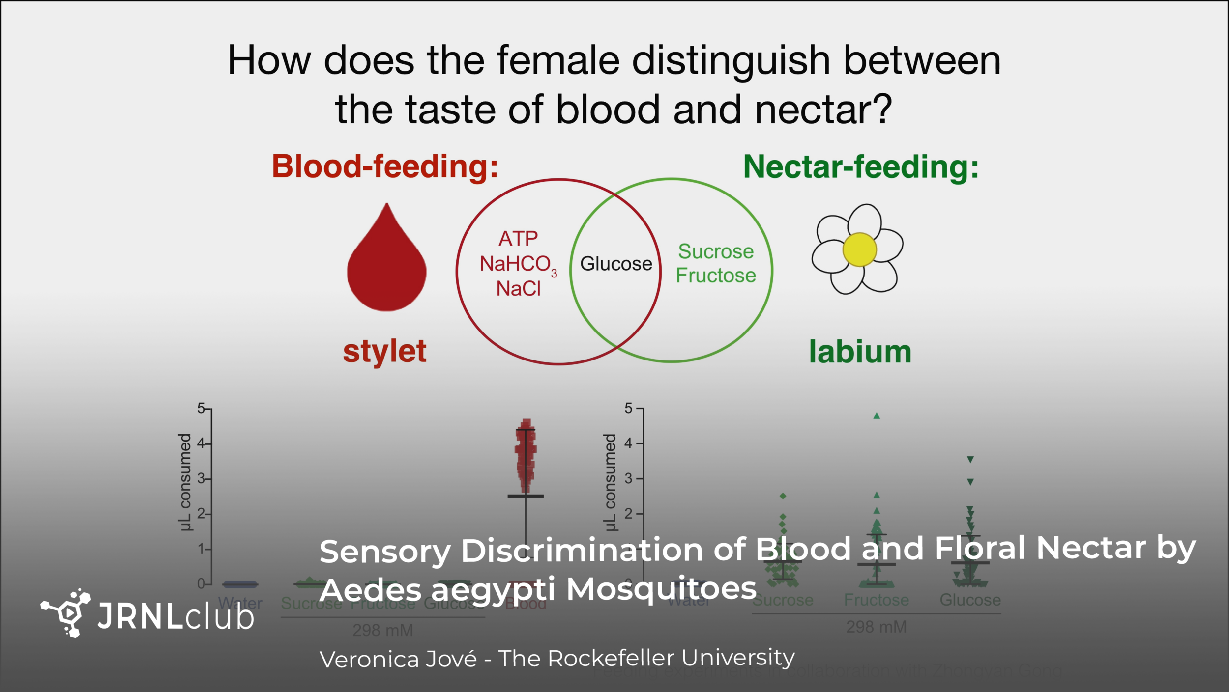 Thursday, February 11, 2021