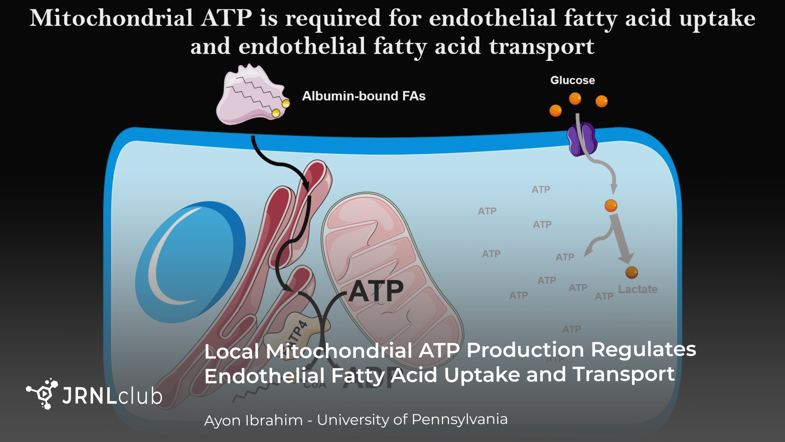 Tuesday, February 16, 2021