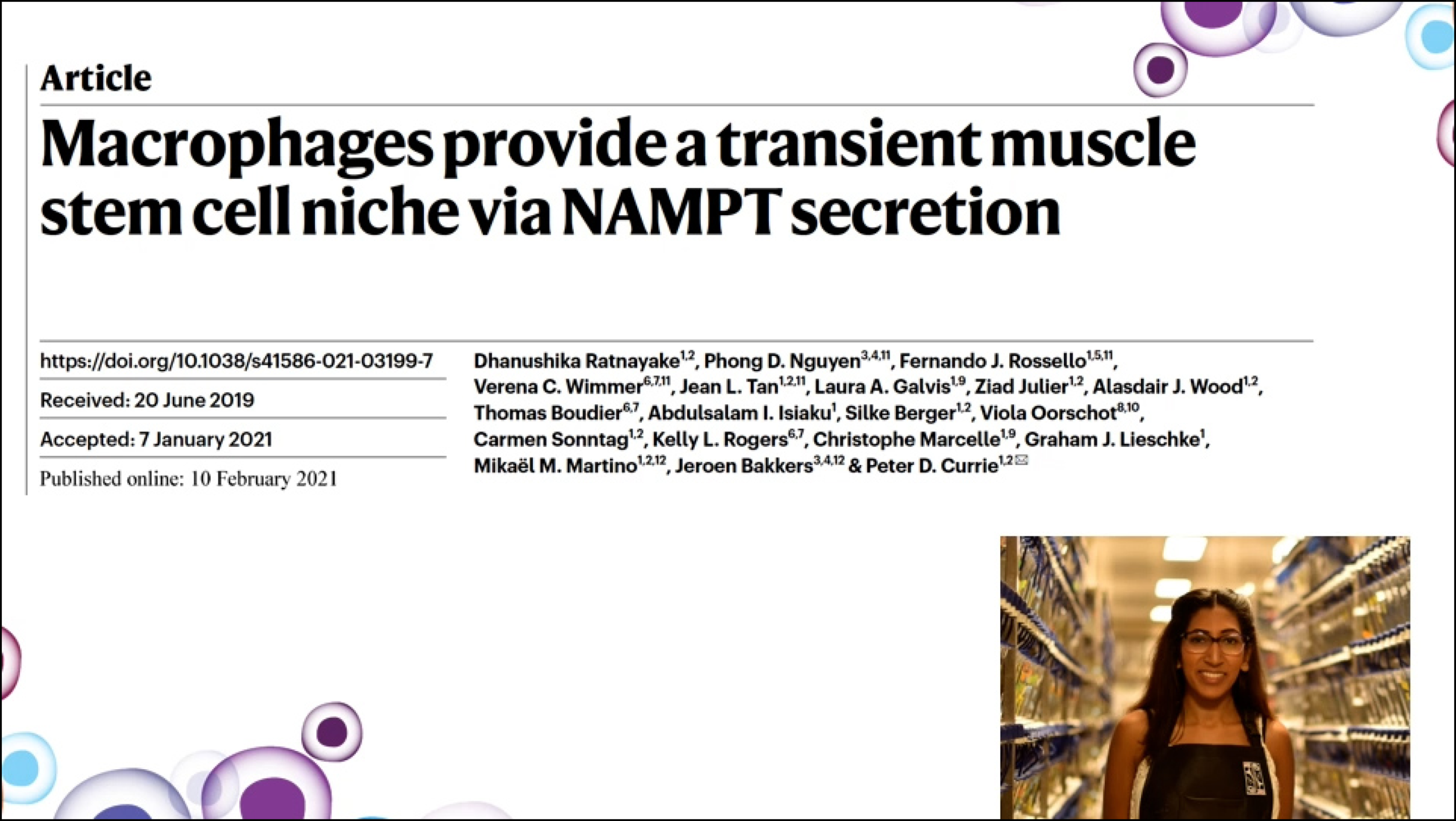 Macrophages provide a transient muscle stem cell niche via NAMPT secretion
