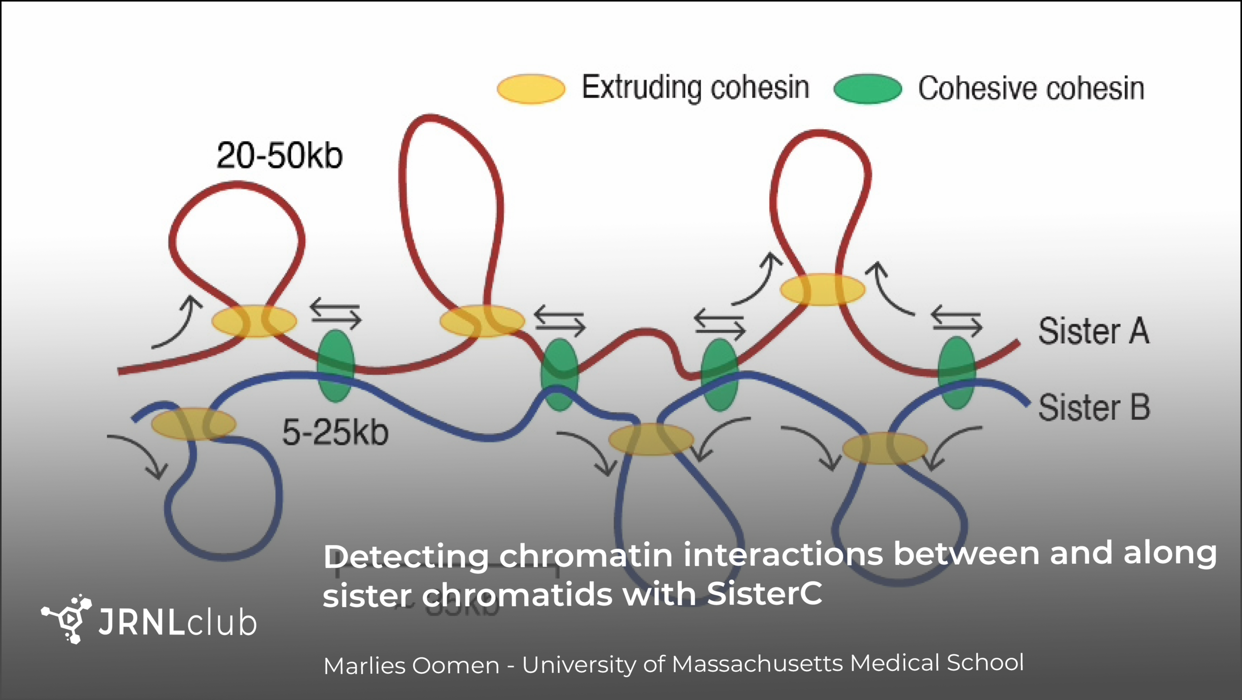 Tuesday, March 16, 2021