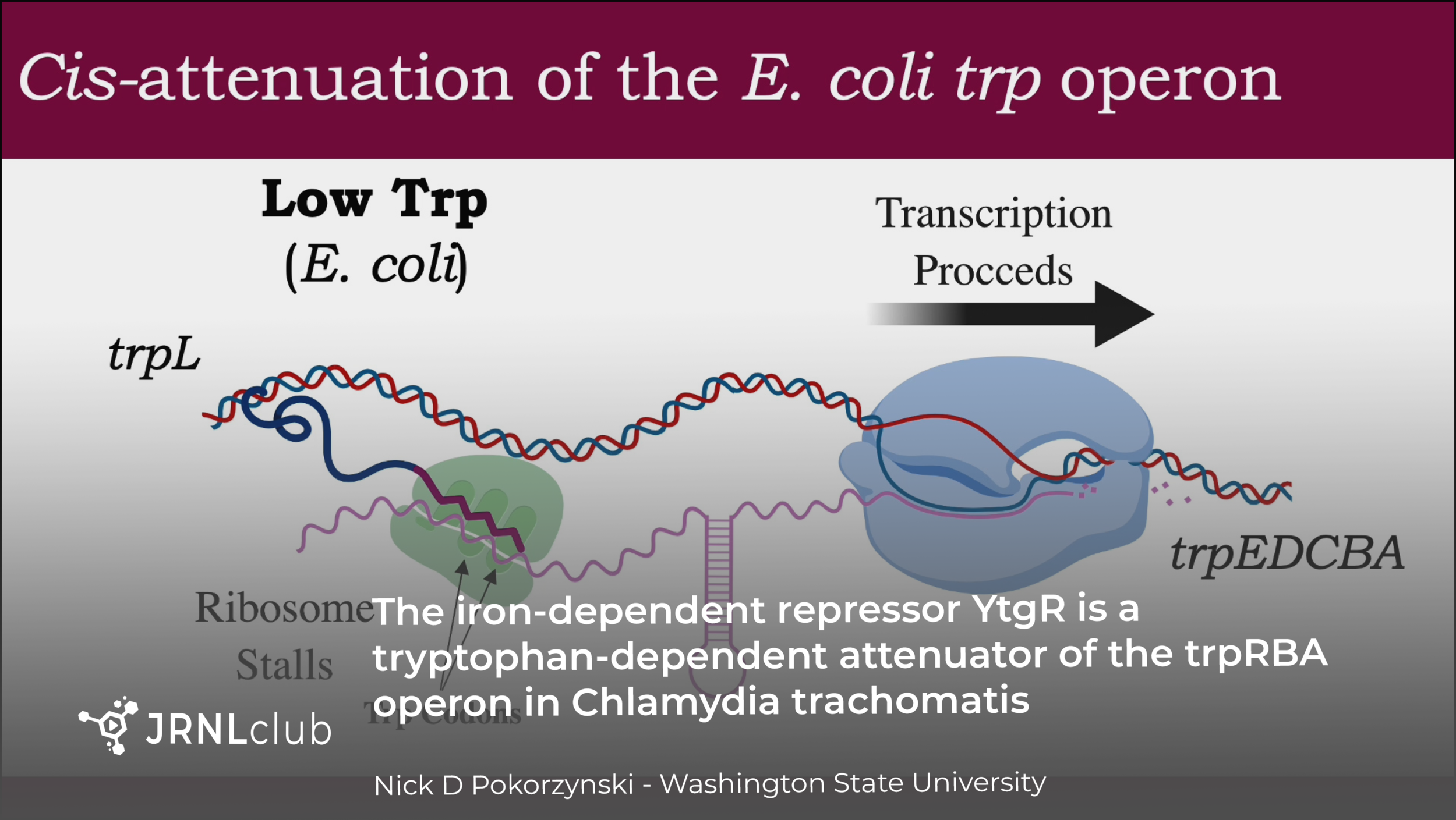 Tuesday, May 11, 2021