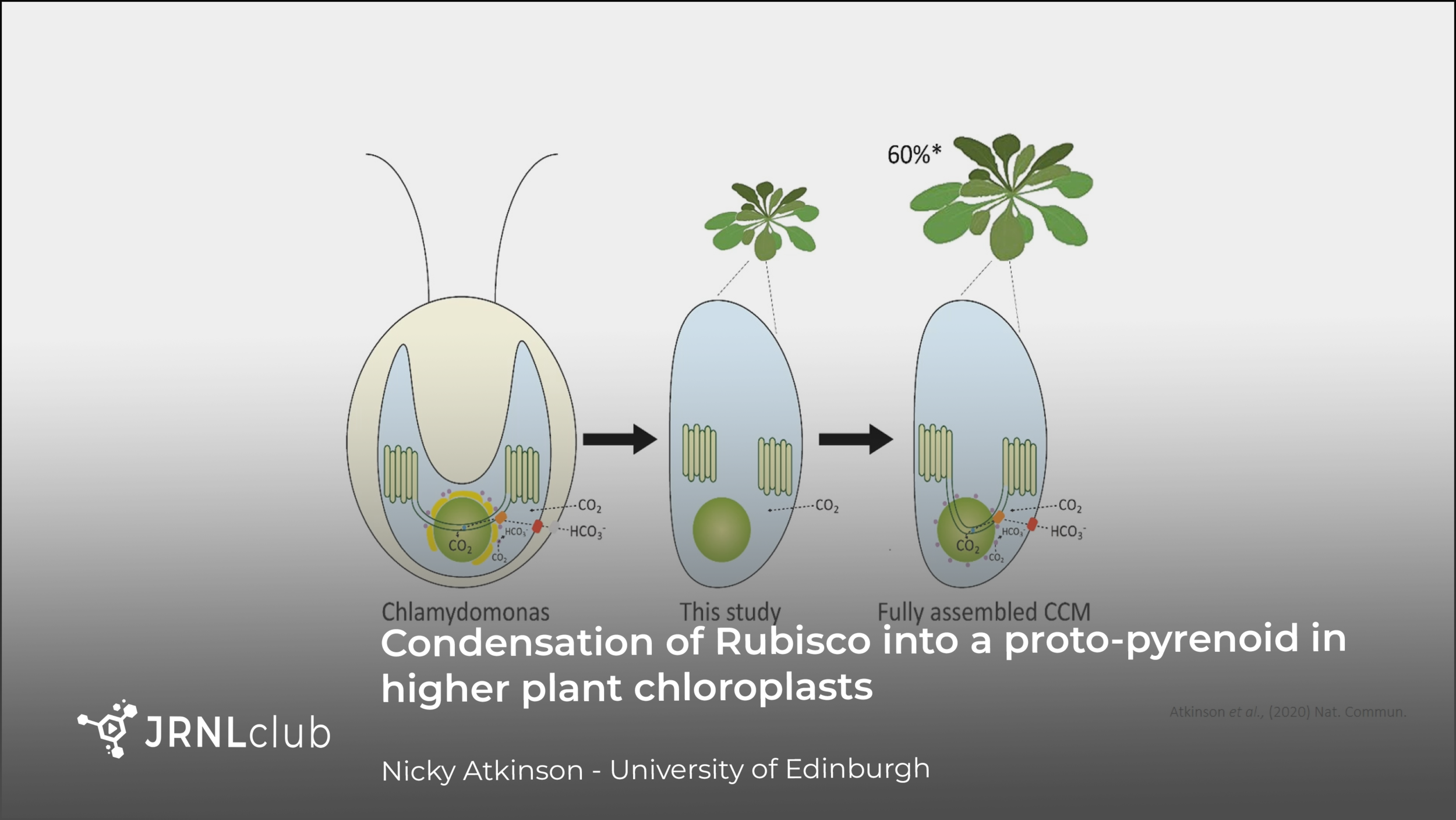 Thursday, July 15, 2021