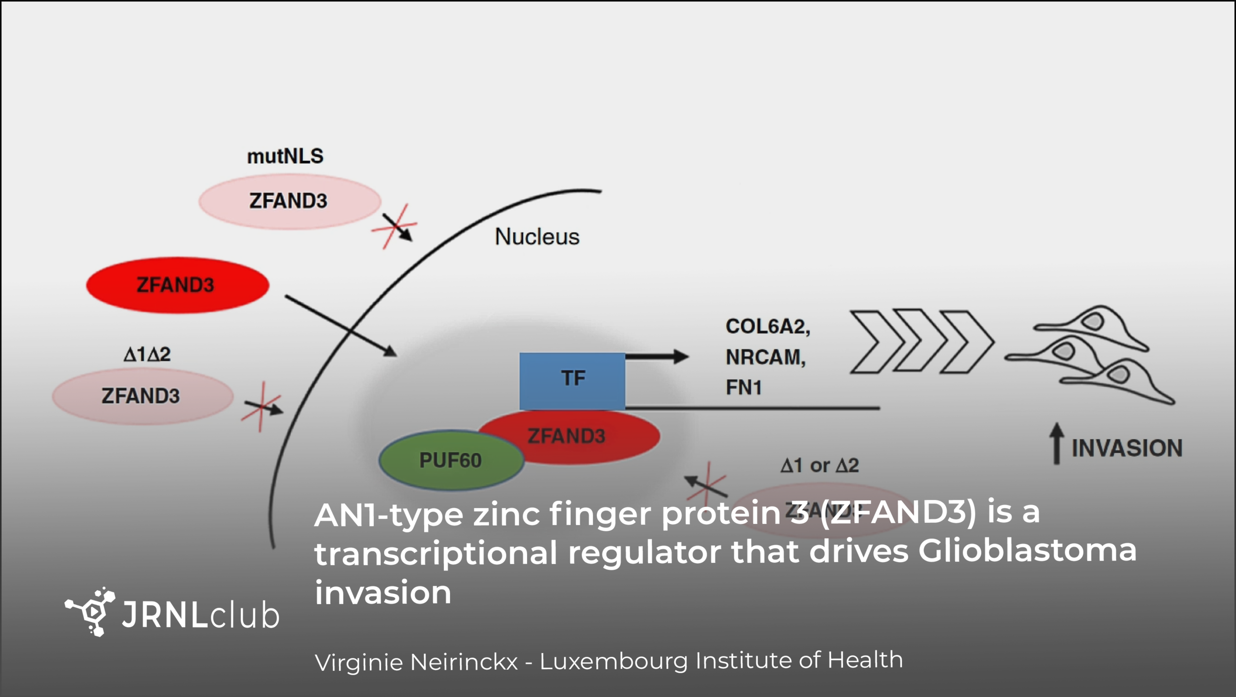 Thursday, August 26, 2021