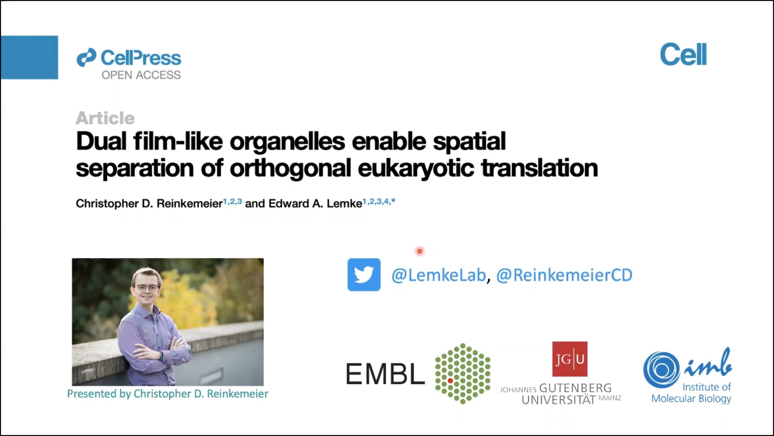Dual film-like organelles enable spatial separation of orthogonal eukaryotic translation