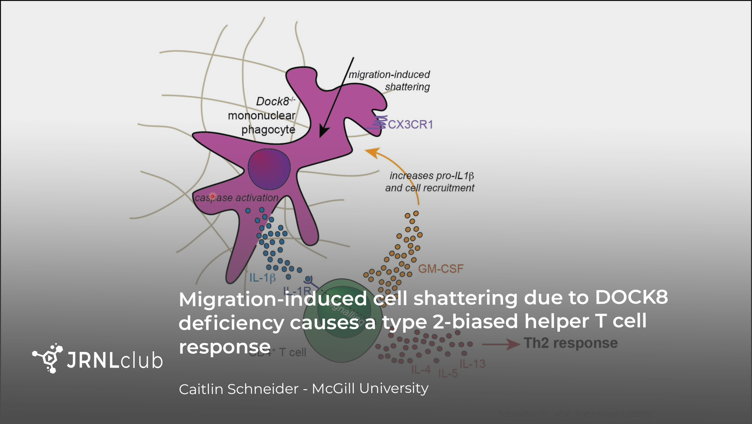 Tuesday, October 26, 2021 