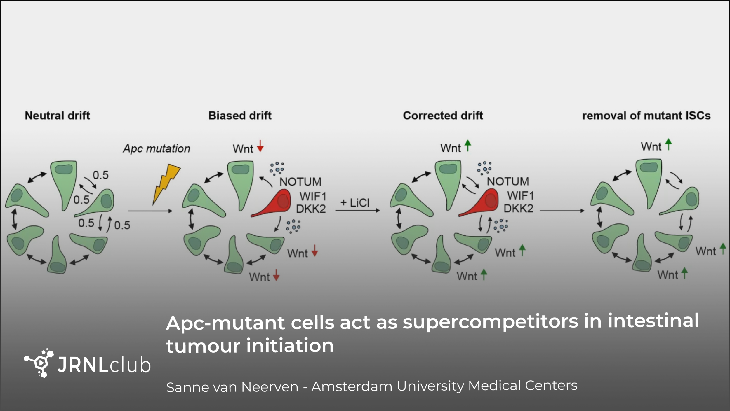 Tuesday, November 2, 2021
