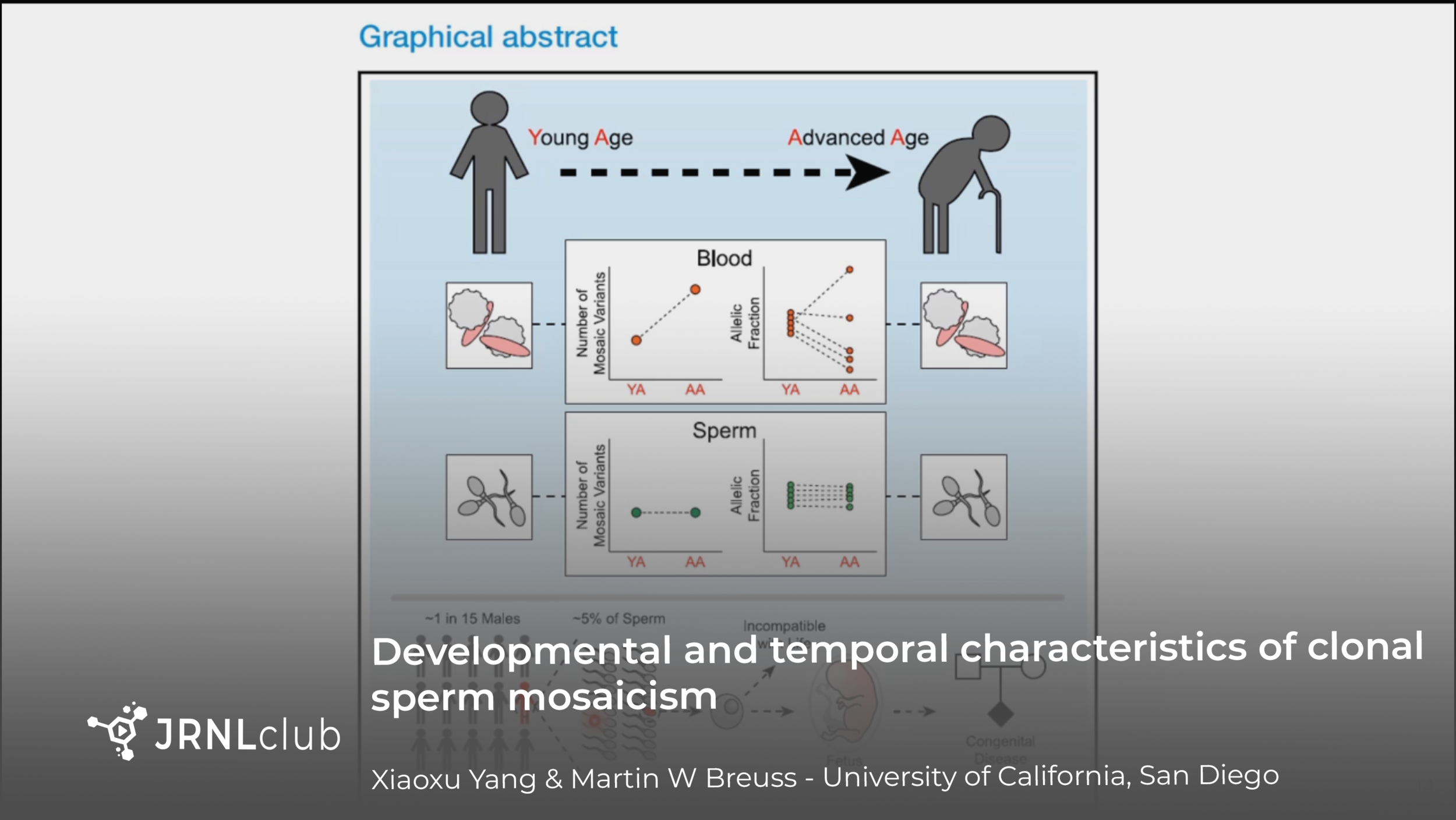 Tuesday, November 16, 2021 