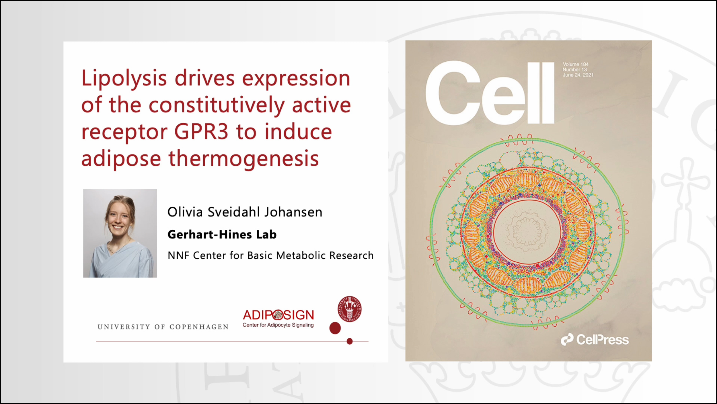 Tuesday, December 28, 2021