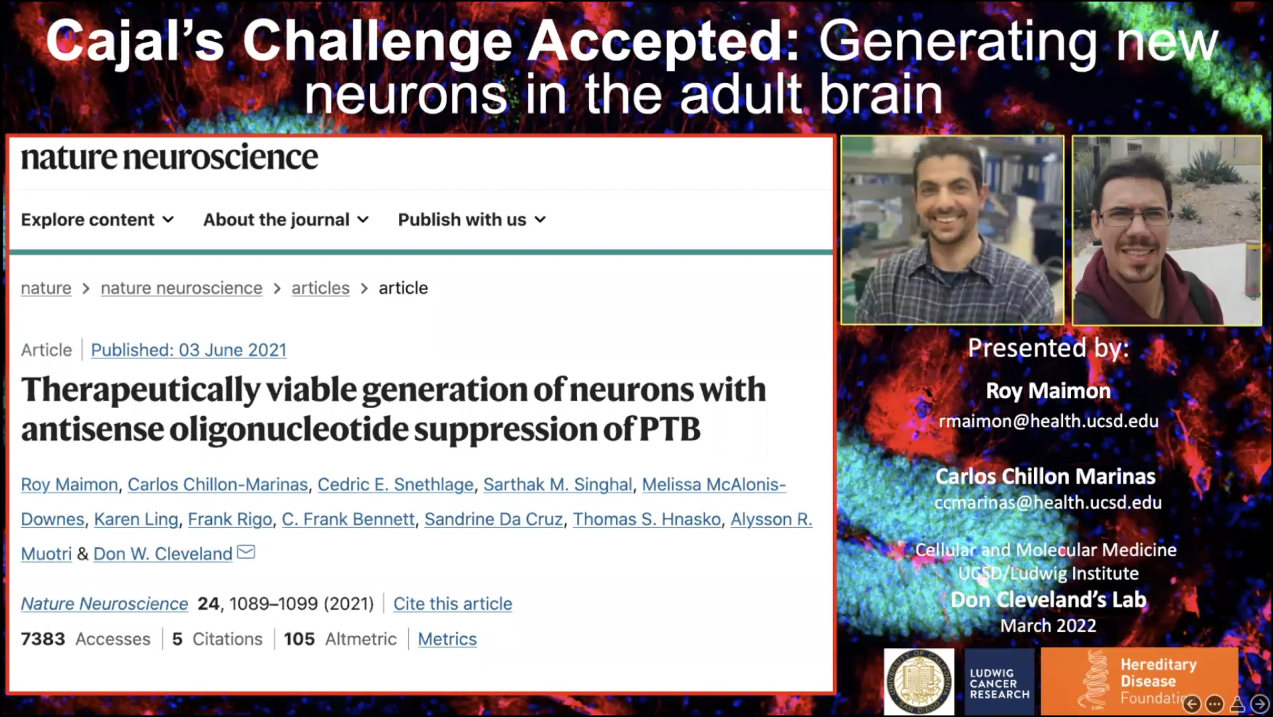 Therapeutically viable generation of neurons with antisense oligonucleotide suppression of PTB
