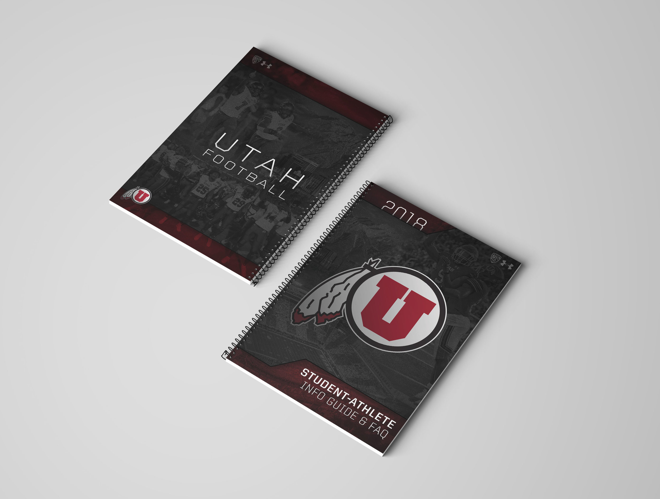 Football-handbook covers.jpg