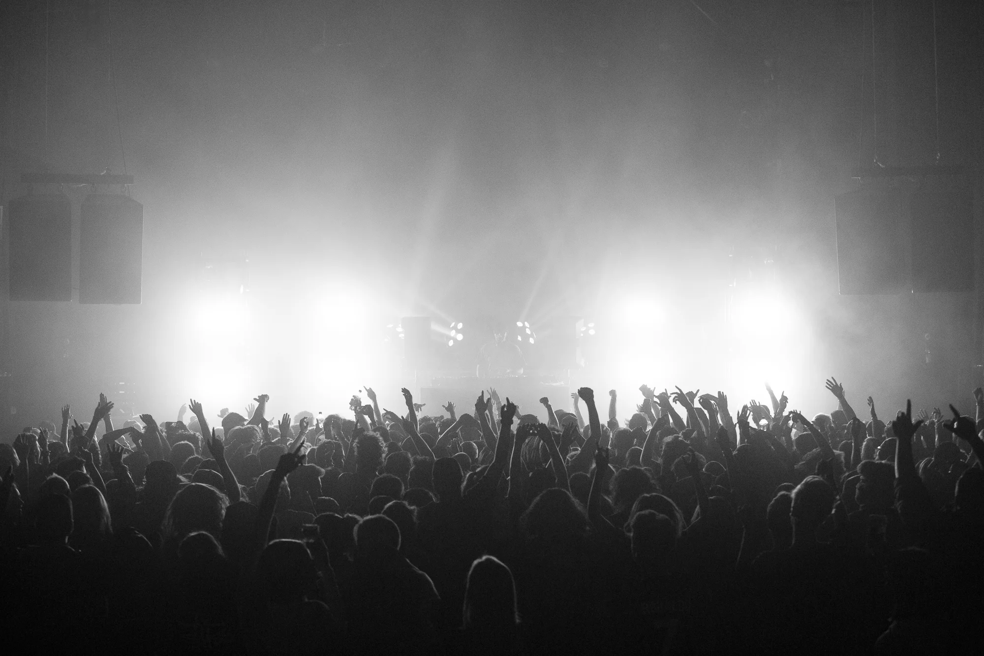 Borgore_Banner-1.jpg