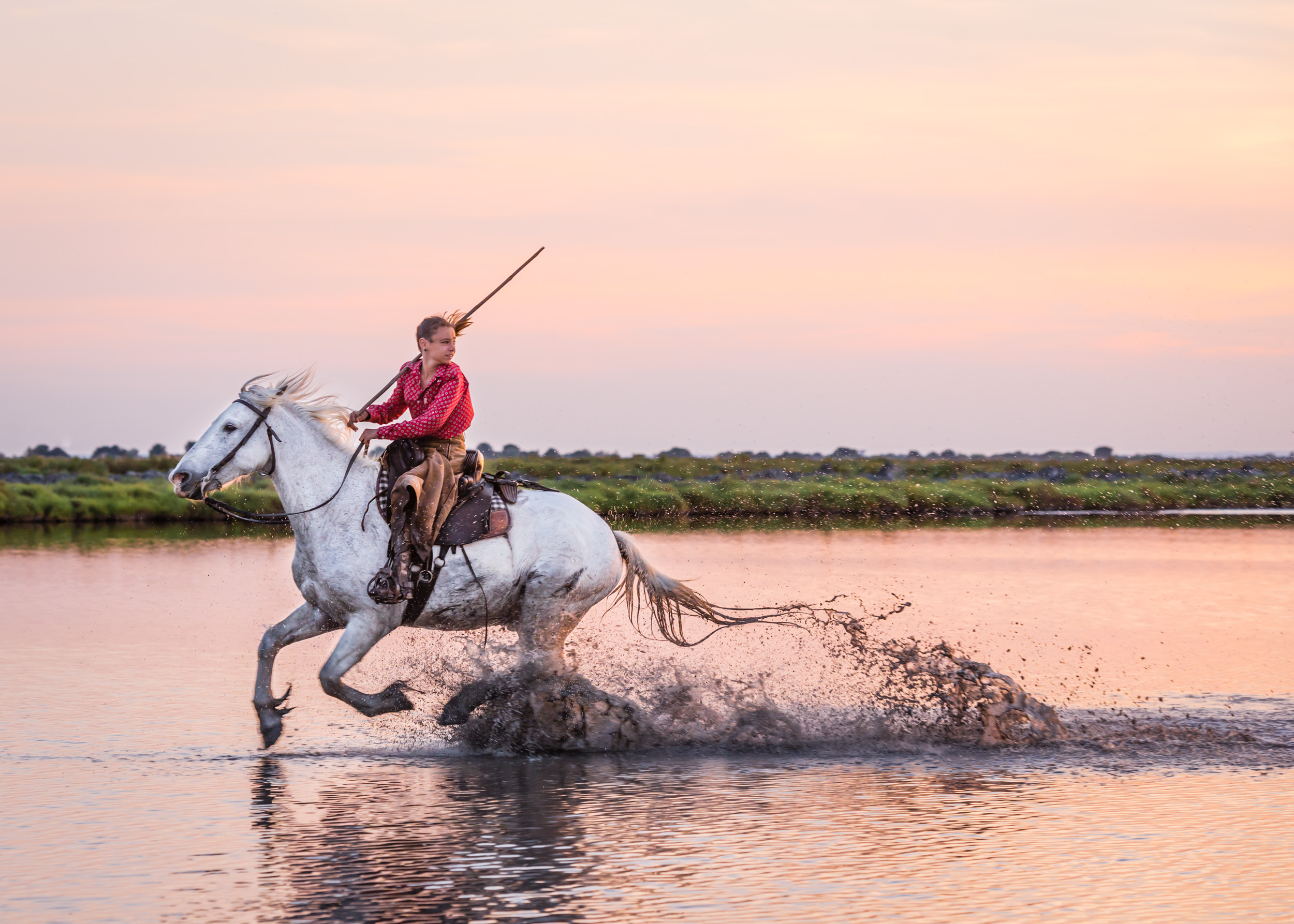 Dee is for Dogs_DSC_5791-Edit.JPG