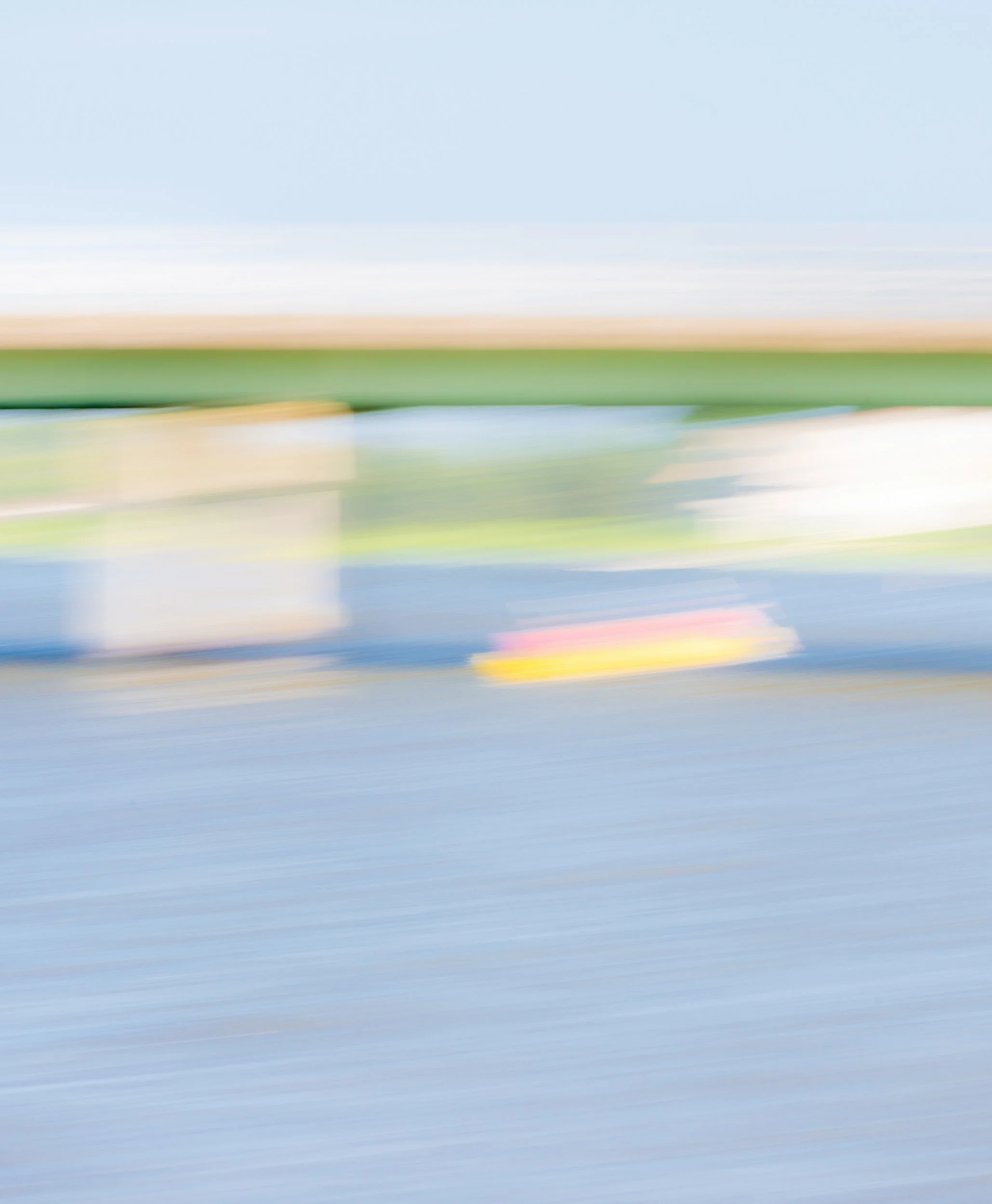 DeeIsForDogs-DSC-9839 a-1.JPG