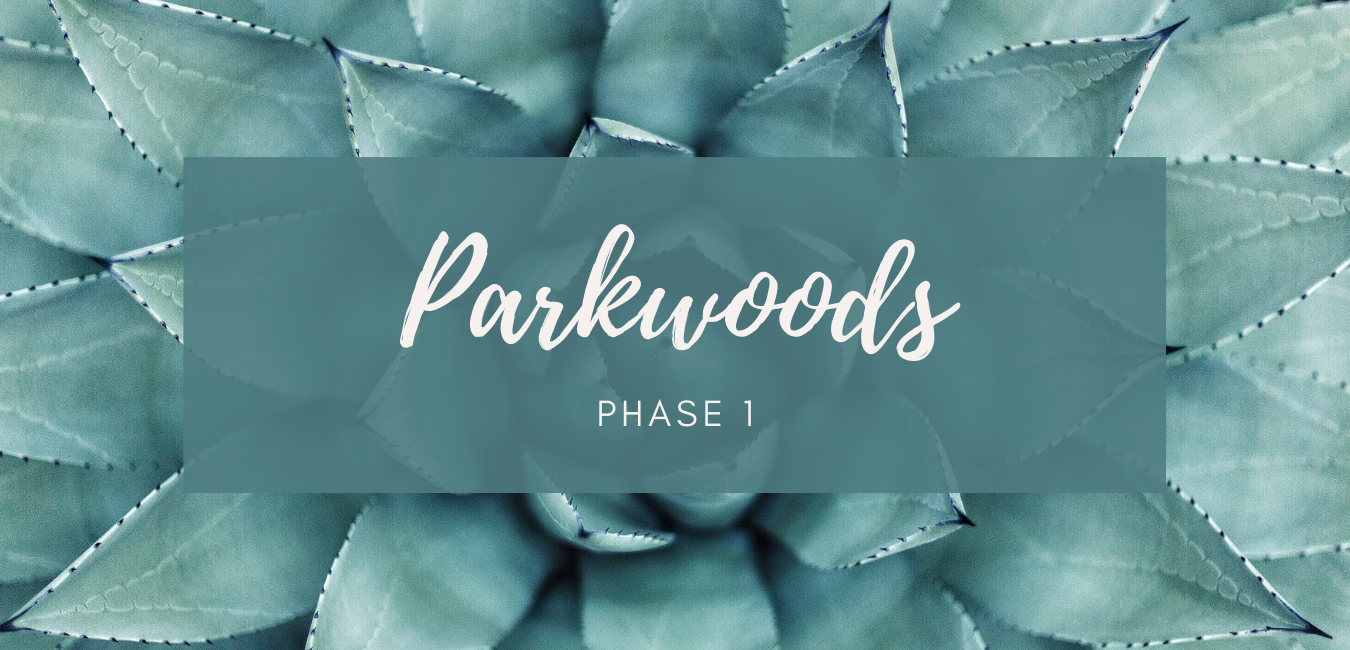 PHASE I.png