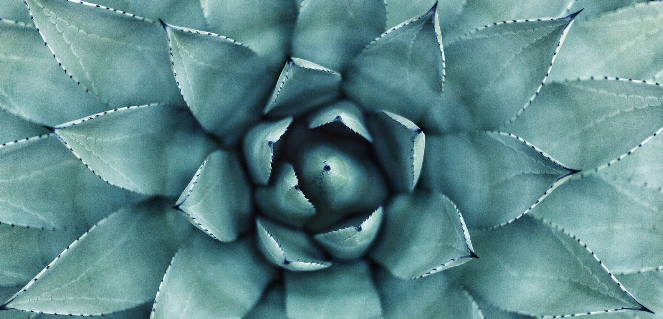 6.png