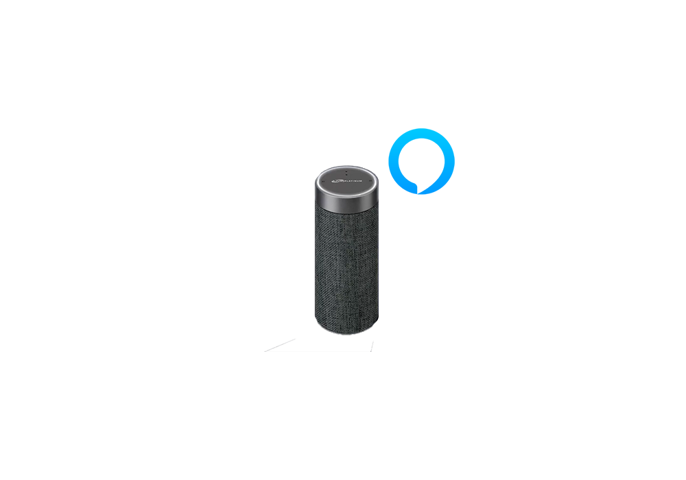 ilive platinum concierge