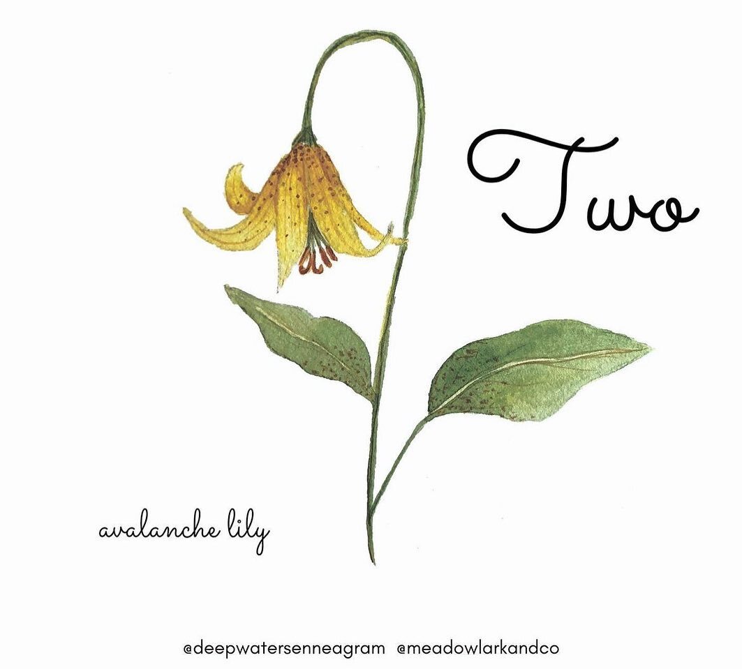 For Type Twos, I chose the Avalanche Lily.  Read on to see if you think it fits the Twos in your life!

Twos, what do you think?

This flower is lovely evidence of winter losing its chill and of sun warming the earth, and it is among the first flower