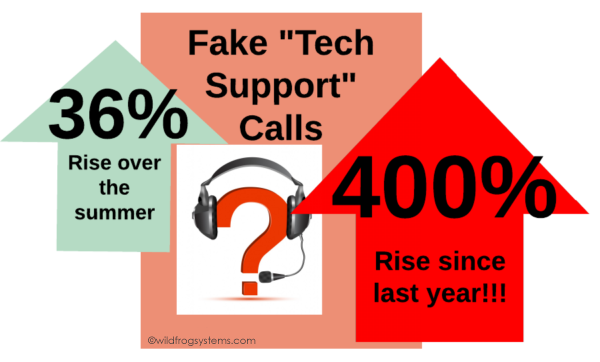 fake tech support stats