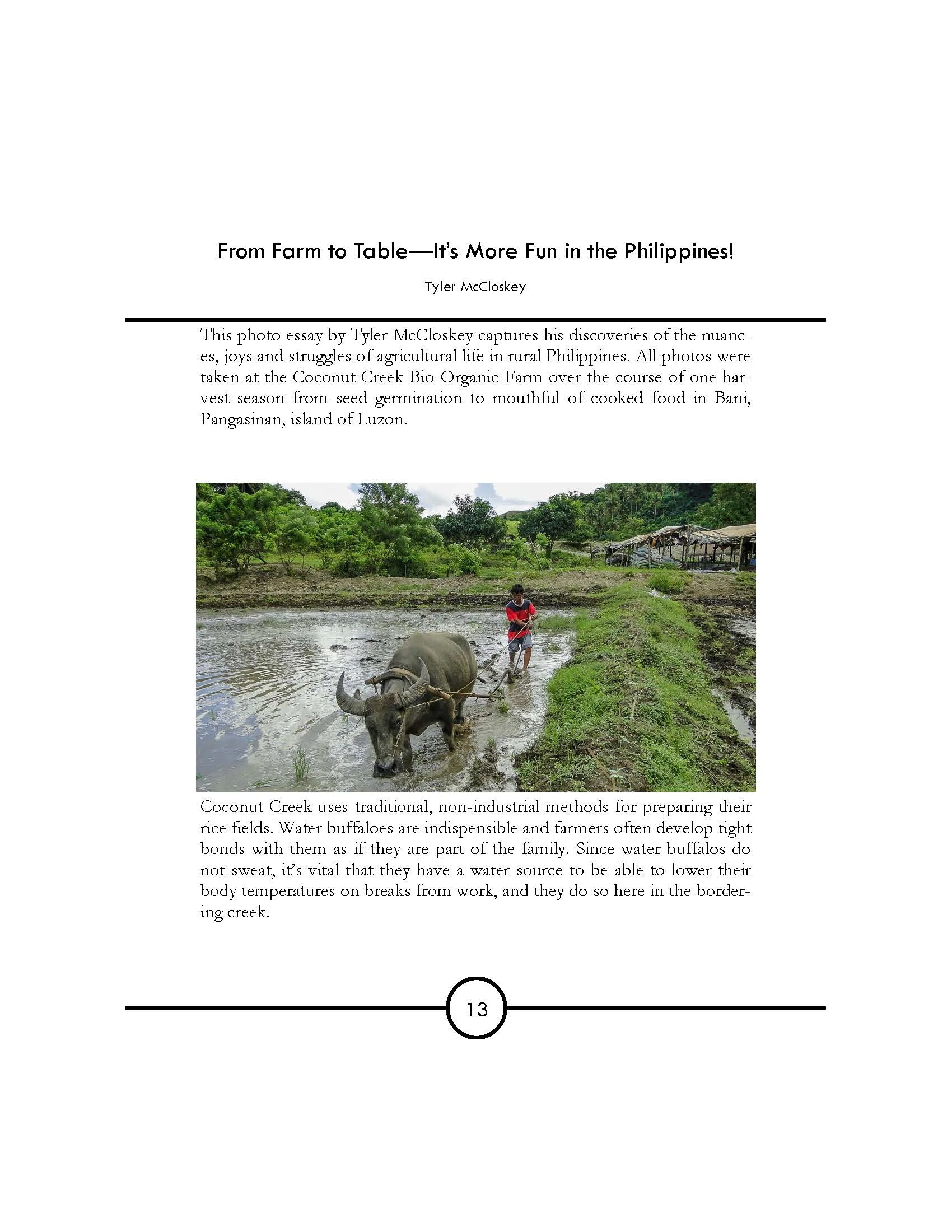 Farm to Table—Sonderers_Page_01.jpg
