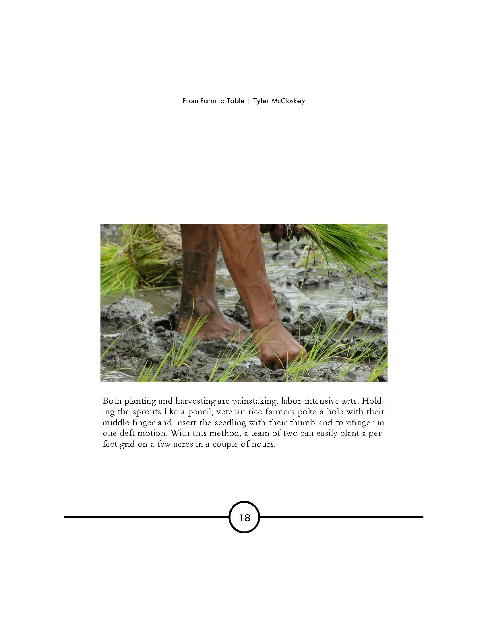 Farm to Table—Sonderers_Page_06.jpg