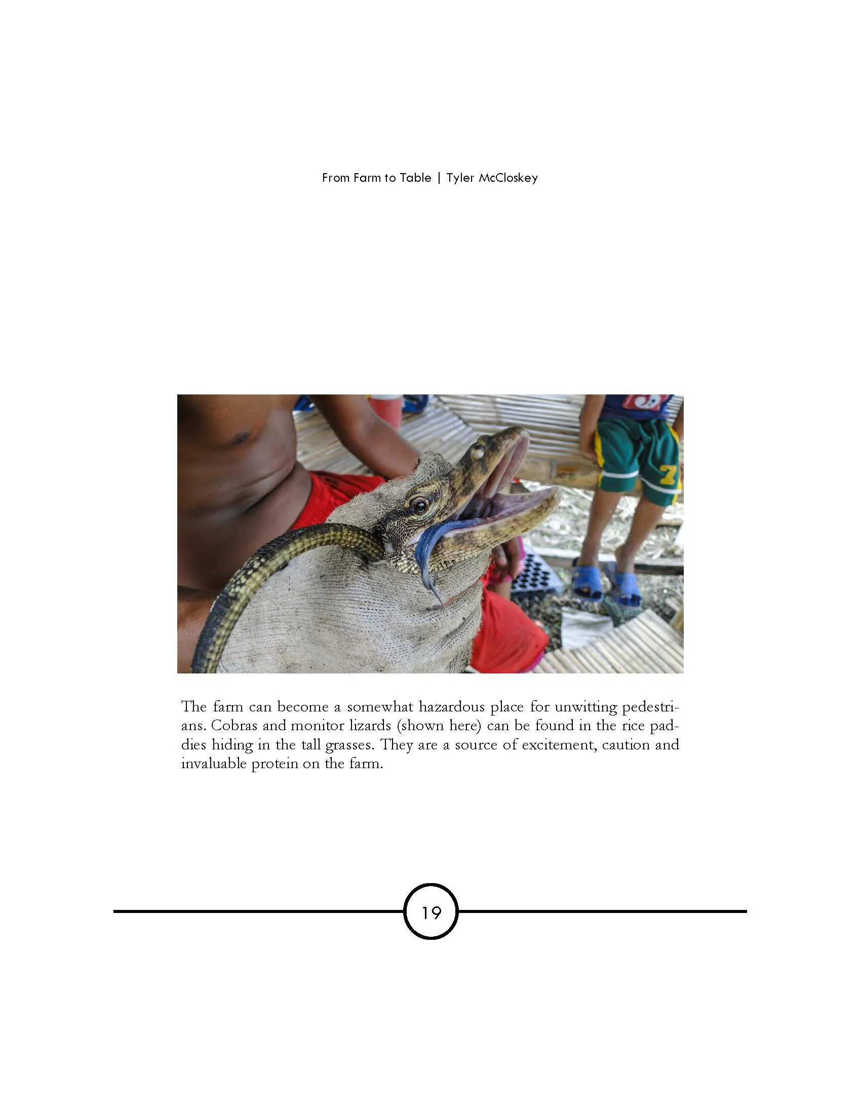 Farm to Table—Sonderers_Page_07.jpg