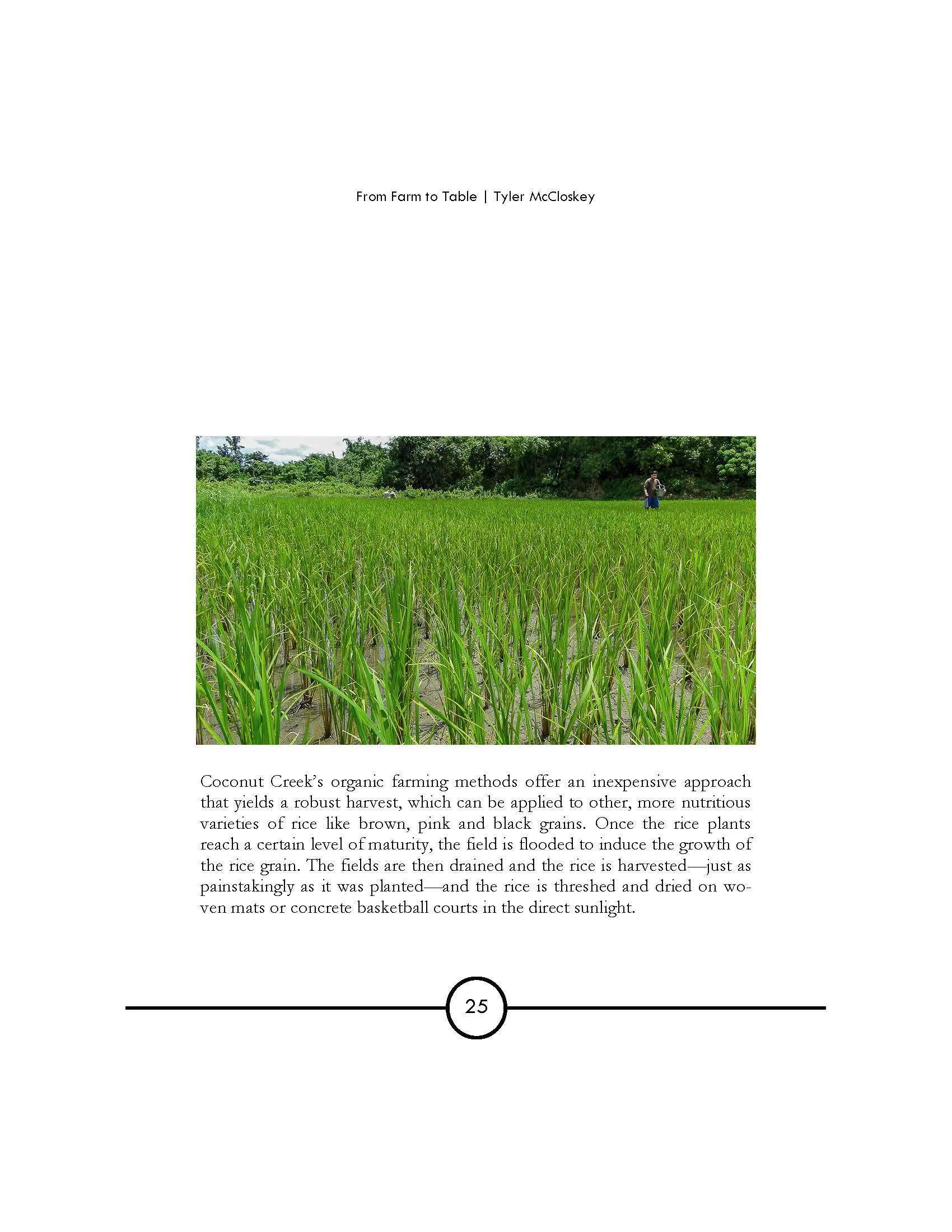 Farm to Table—Sonderers_Page_13.jpg