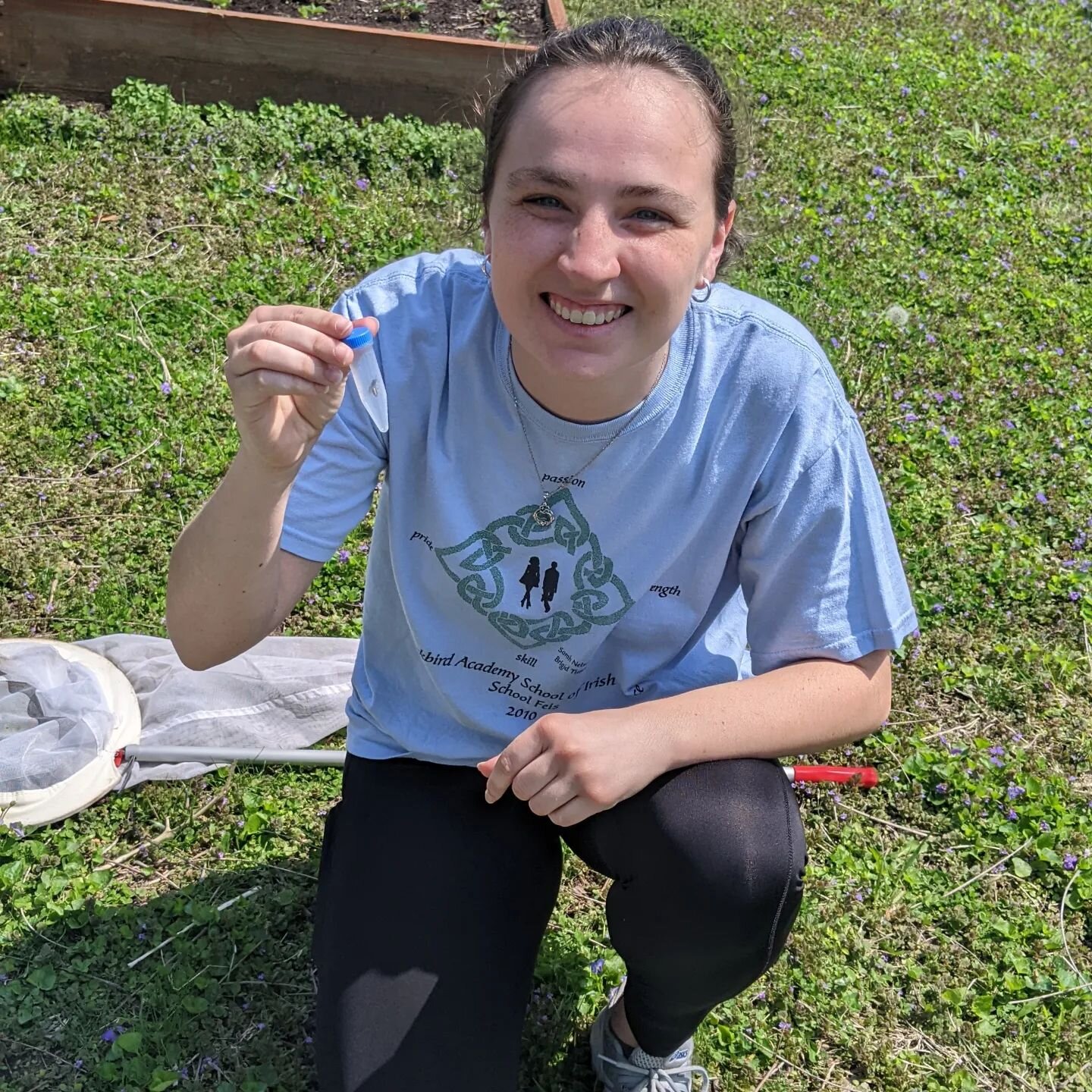 We are collecting insects off of blooming fruit trees. The goal is to do pollen washes of the insects so we need to put each insect in a super tiny tube. This makes getting insects out of the net a challenge. 
Undergrad Brigid Tunney however had no p