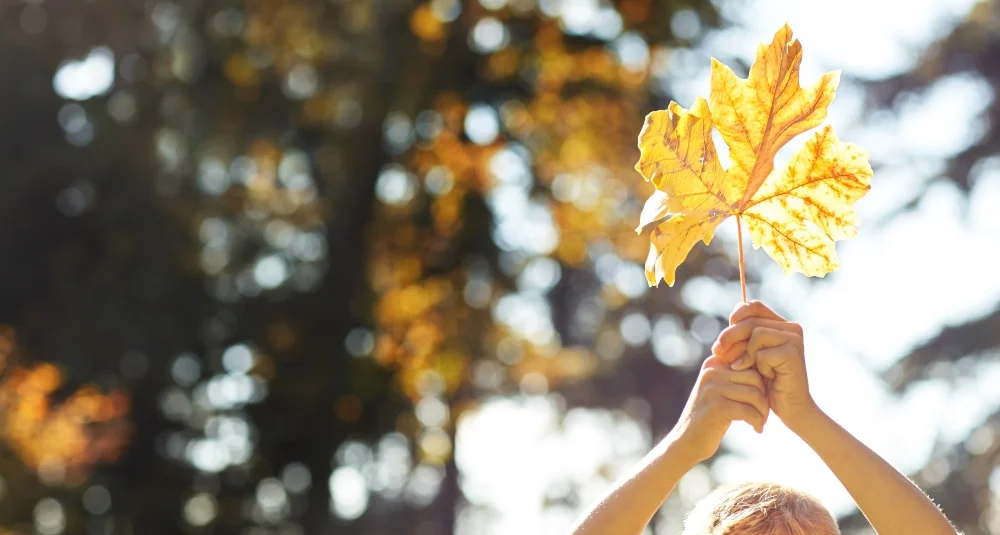 �ǿ����޴�ý Background.jpg