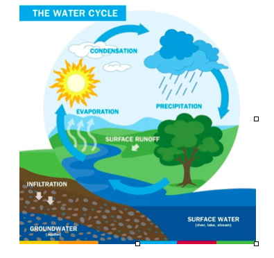 Let's Talk About Water - A Blog from YWA's Environmental Committee