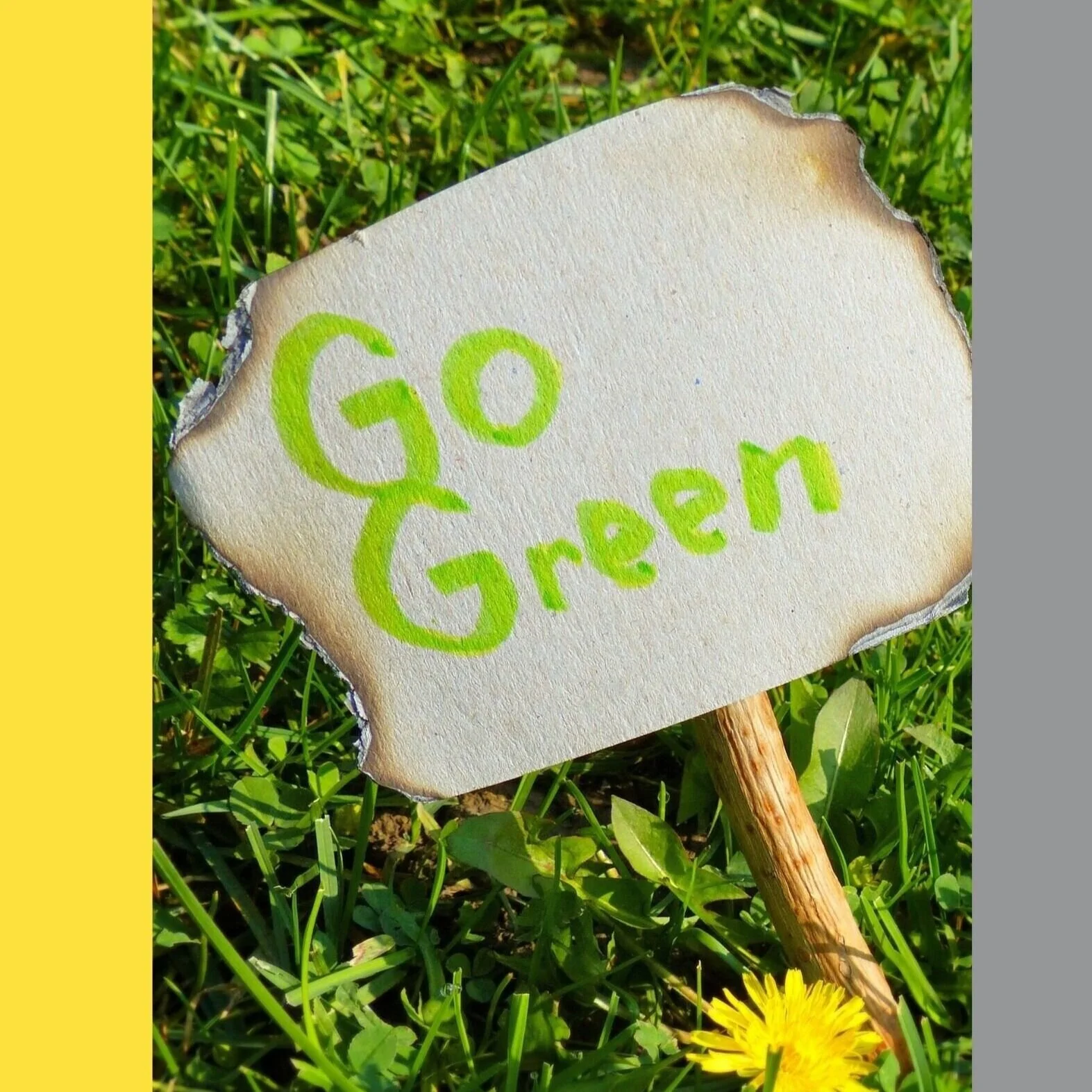 Small Changes - A Blog from YWA's Environmental Committee