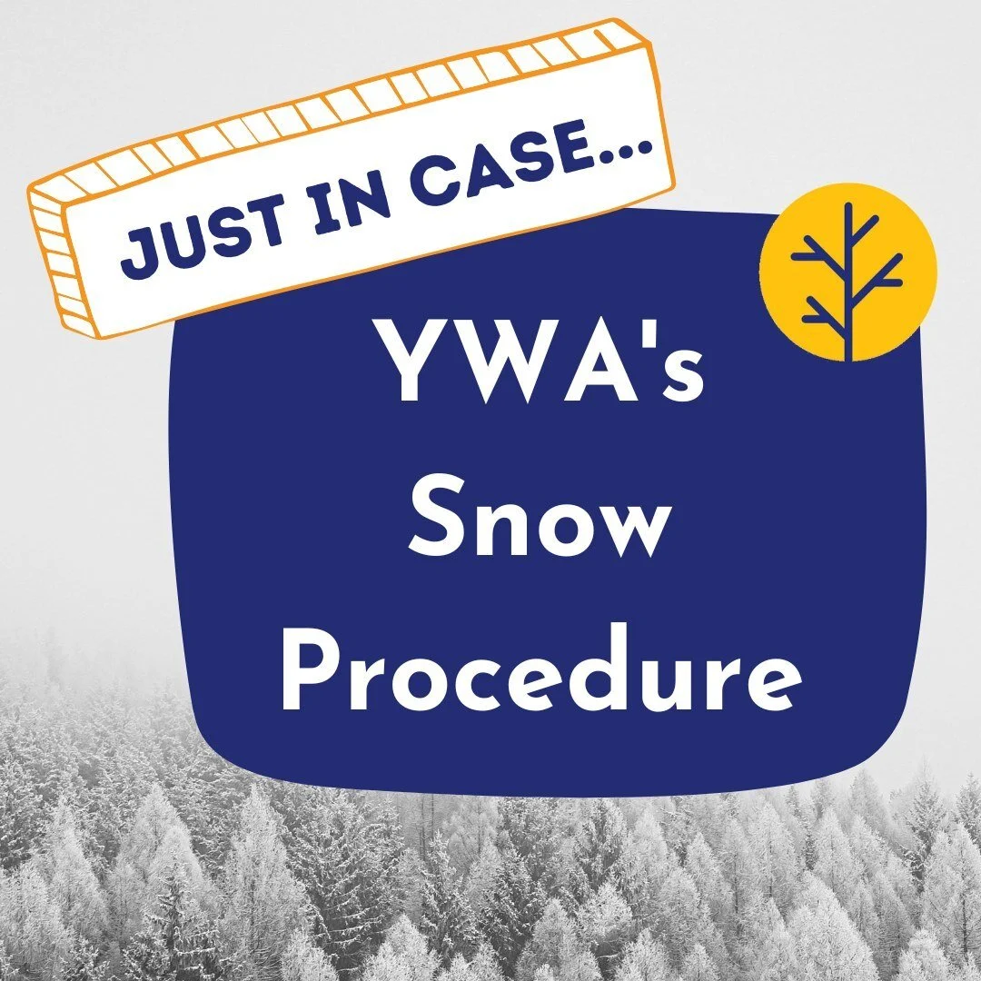 As we got our first wintery weather of the year and more is expected this week, we are taking the opportunity to prepare our community. Communications about closures will be through  KING 5, email, social media, texts, and website.

YWA consults scho