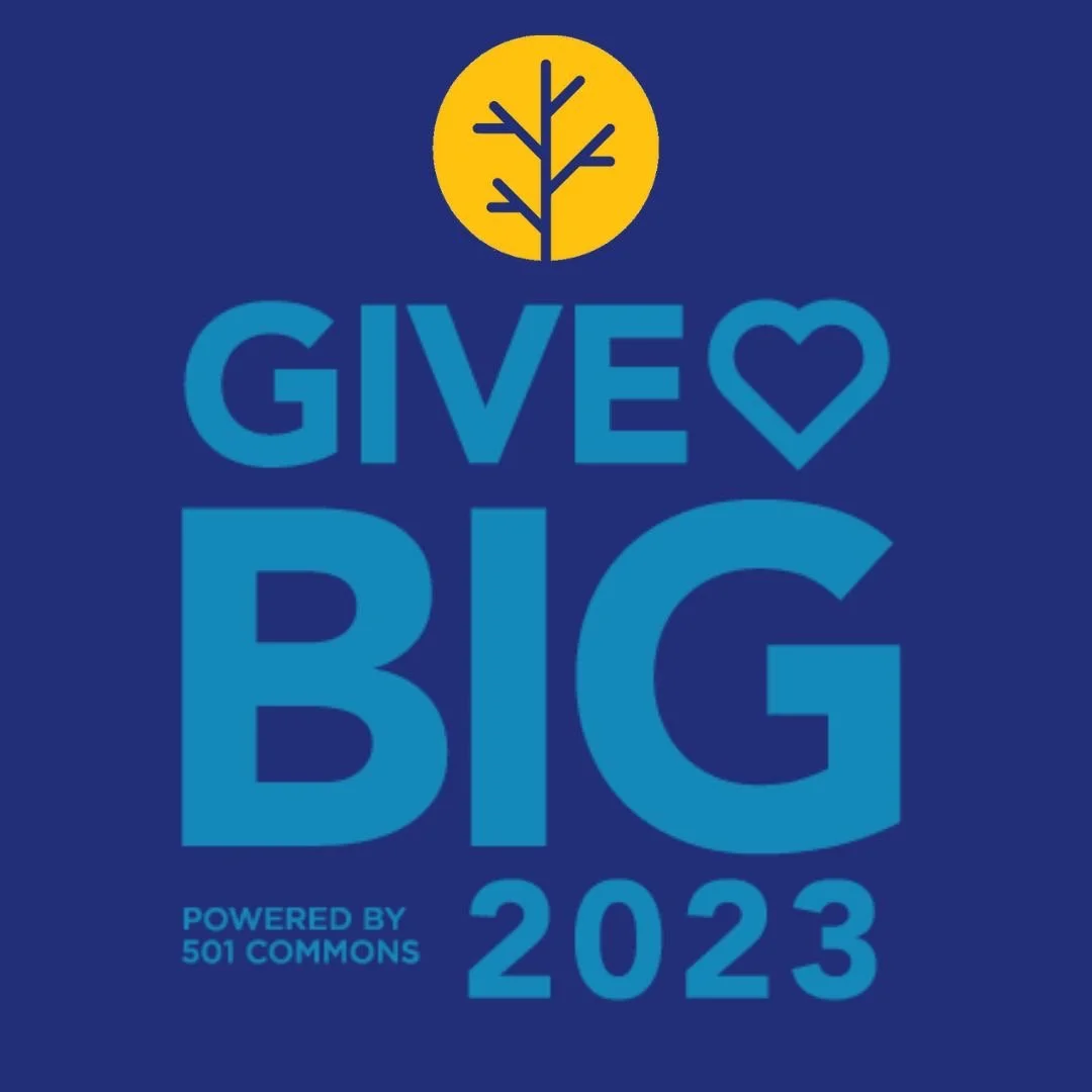 GiveBig | May 2-3