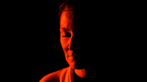 Dandelion.2019-02-10 18_15_35.gif