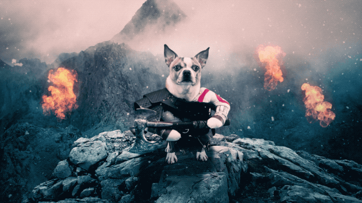 dog of war.gif