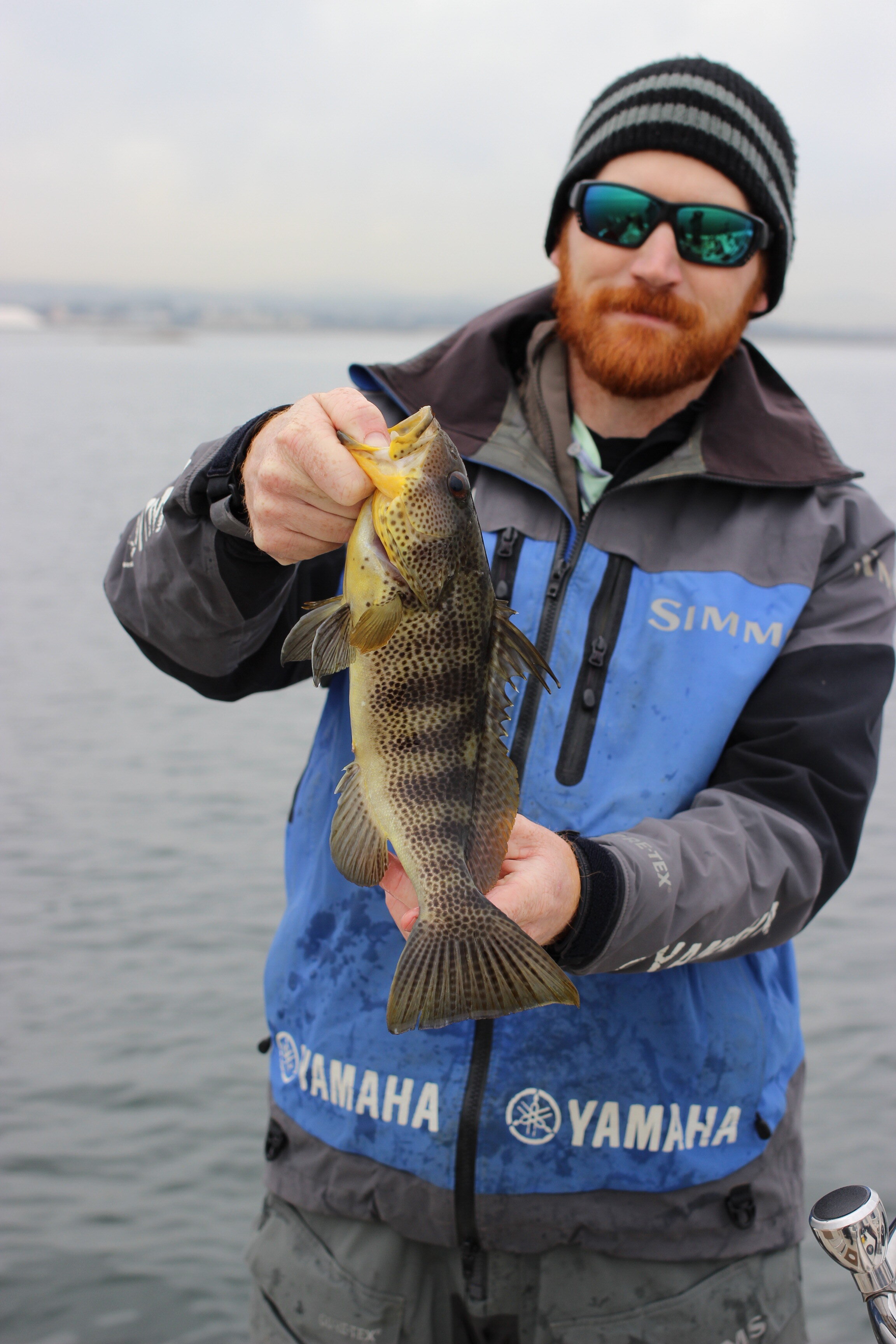 Getting to know the Salty Bass — California Bass Union