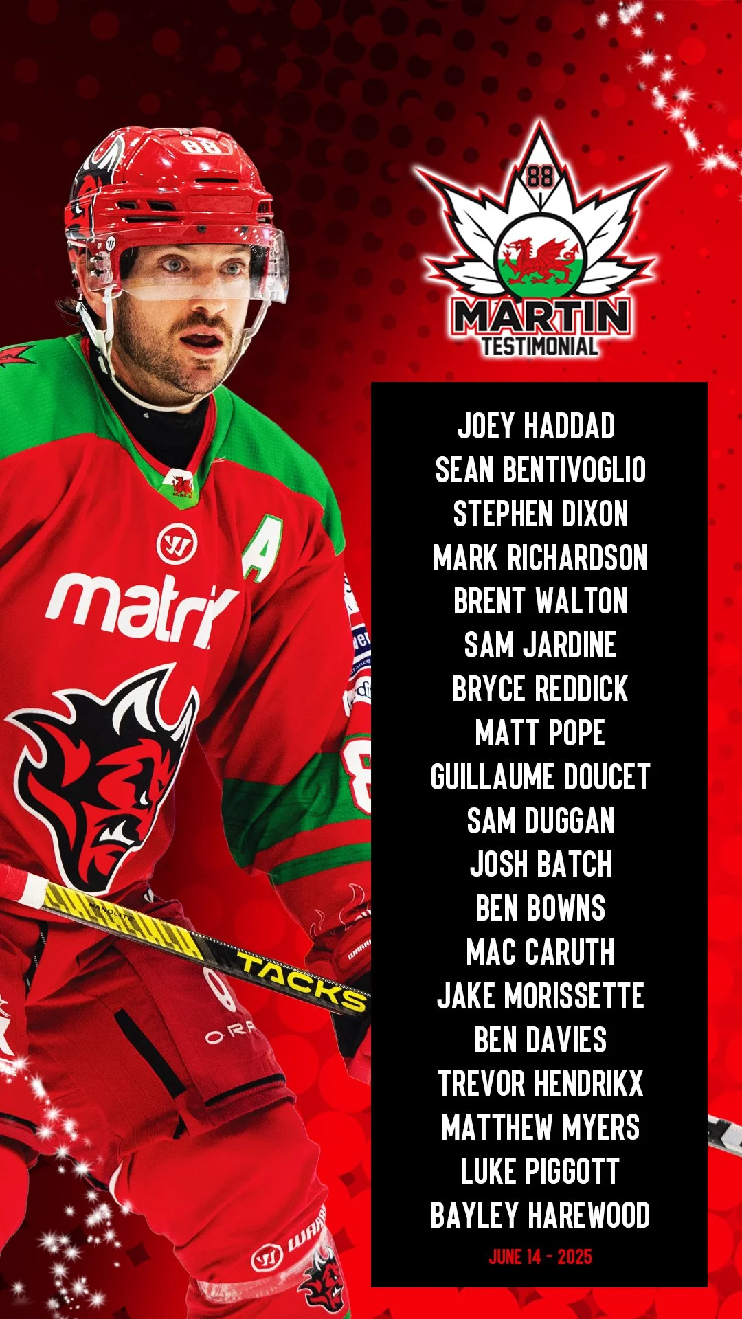 Testimonial Roster - Part 1 - Instagram Story.jpg