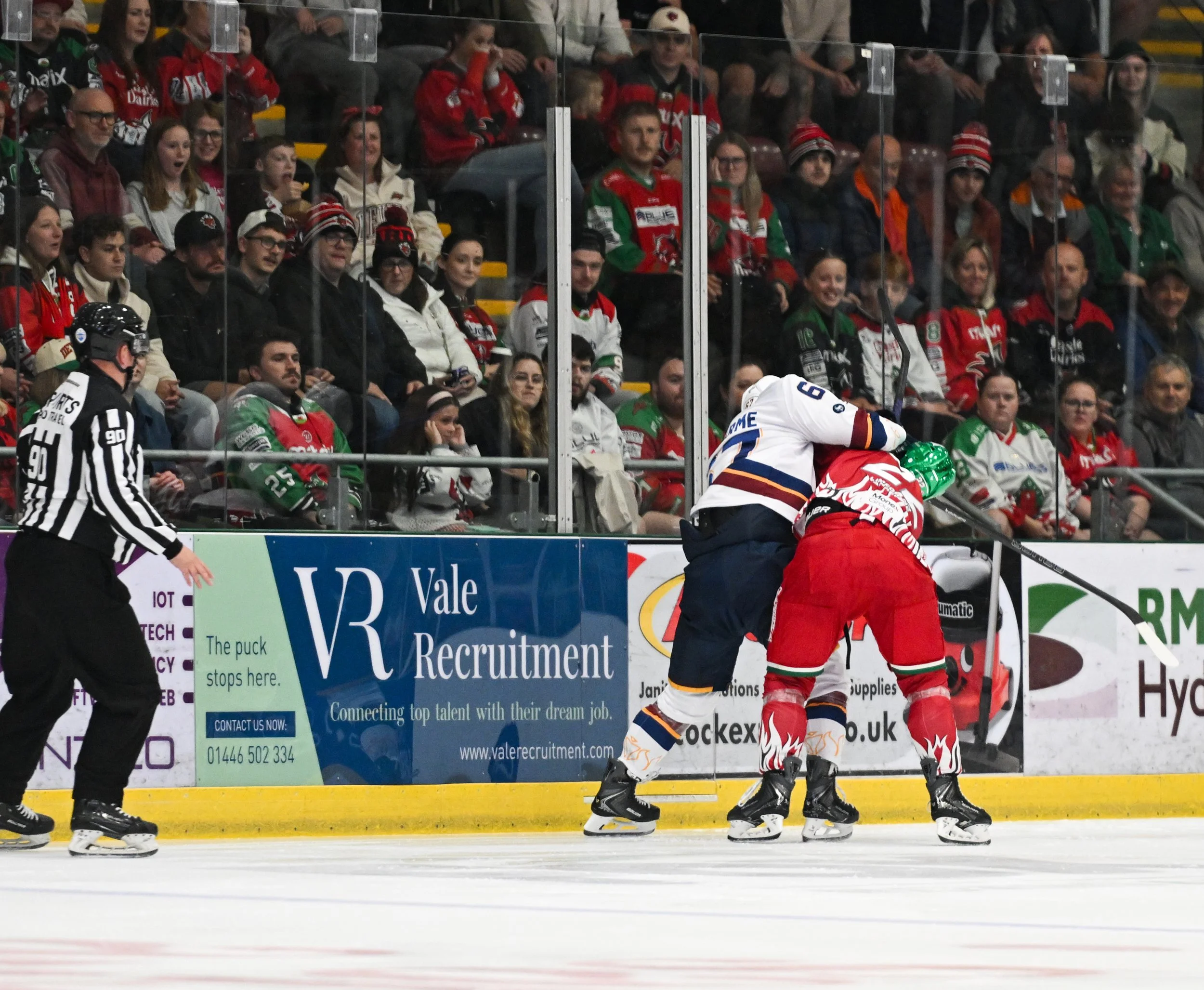Vale Recruitment Rink Board ARENA.jpg