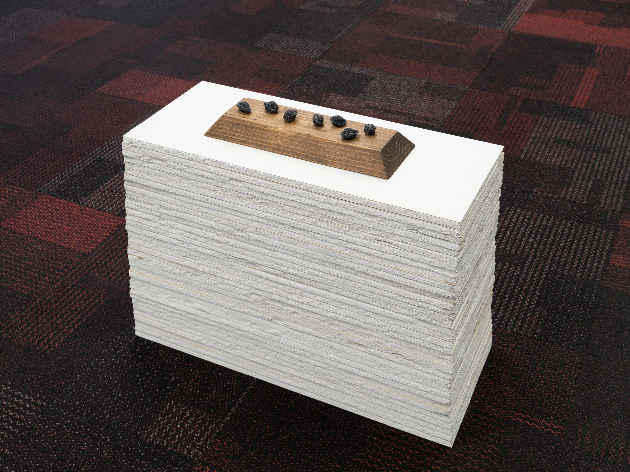  a small legacy, 2026  resin, India ink, wood, ‘Early American’ stain, drywall  Installation view at   PHARMAKON,  The Mall Upstate, Kingston , NY  