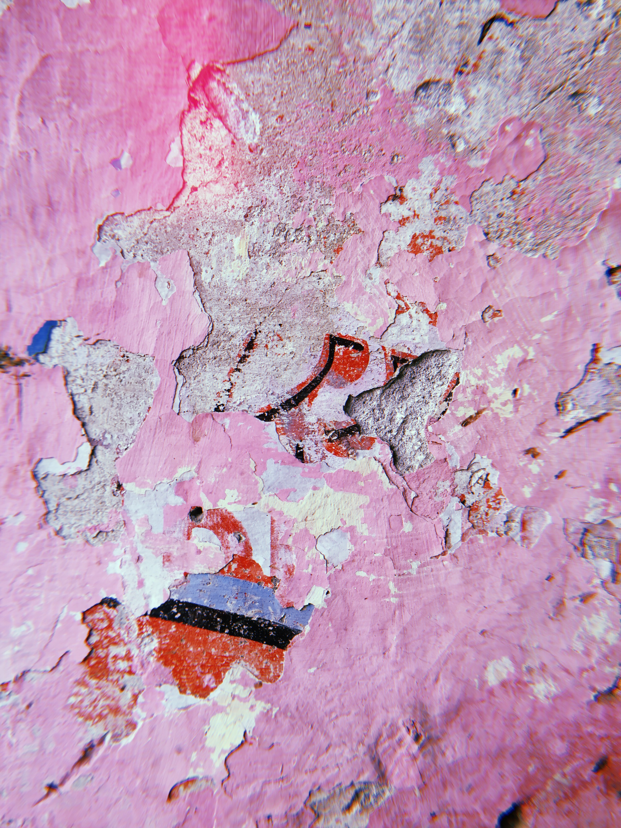 Canva - Close-up Photography of Pink Painted Wall.jpg