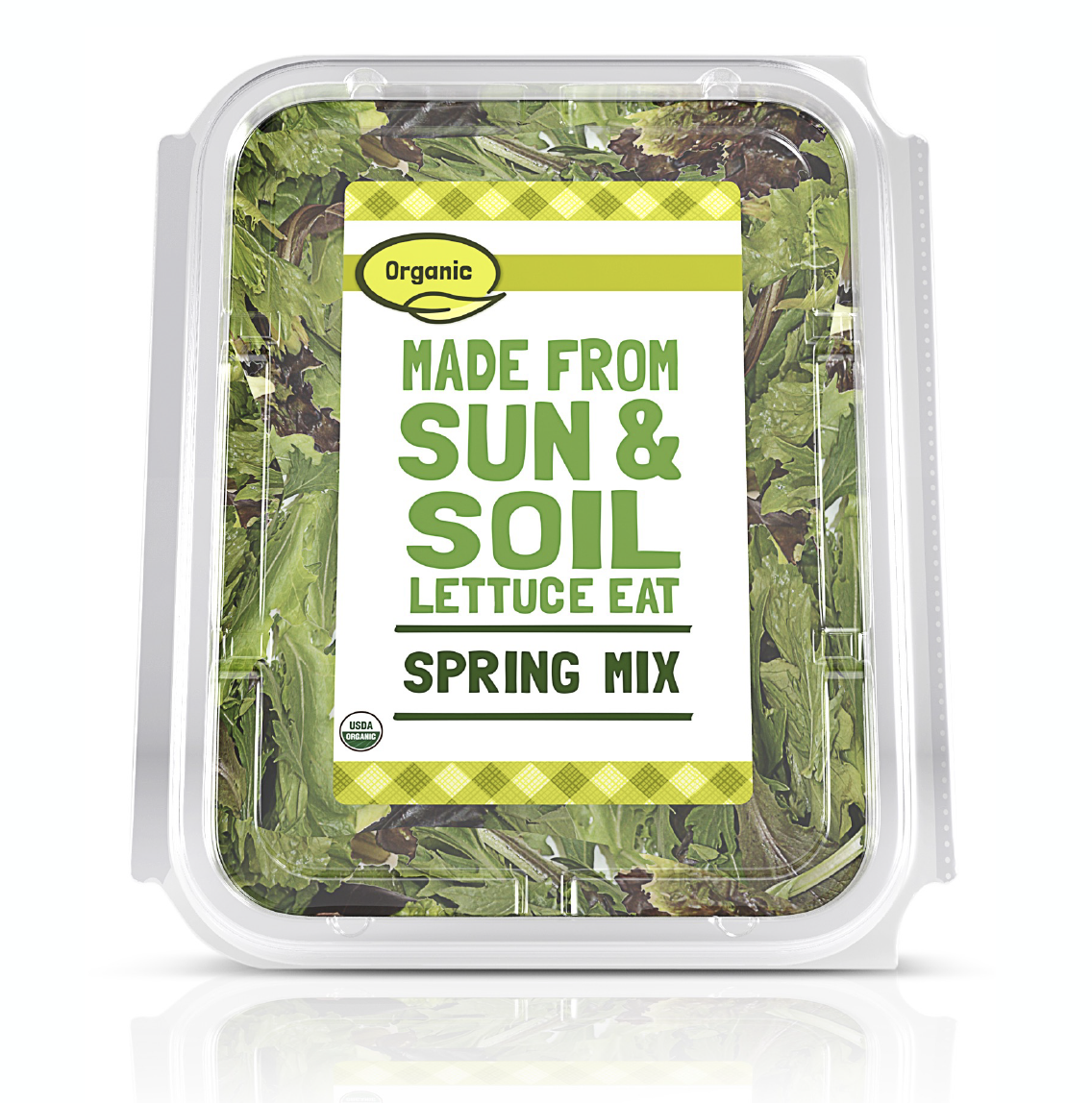 Screen Shot 2025-02-13 at 8.39.57 PM.png