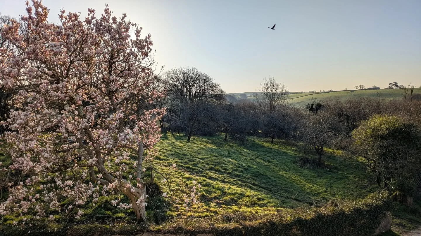 Room with a view 🩵