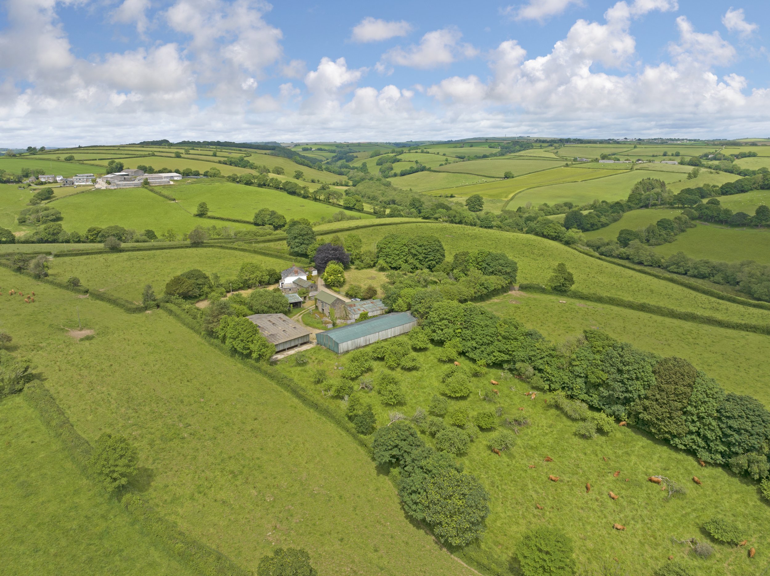 DJI_20240603143027_0364_Ddone.jpg