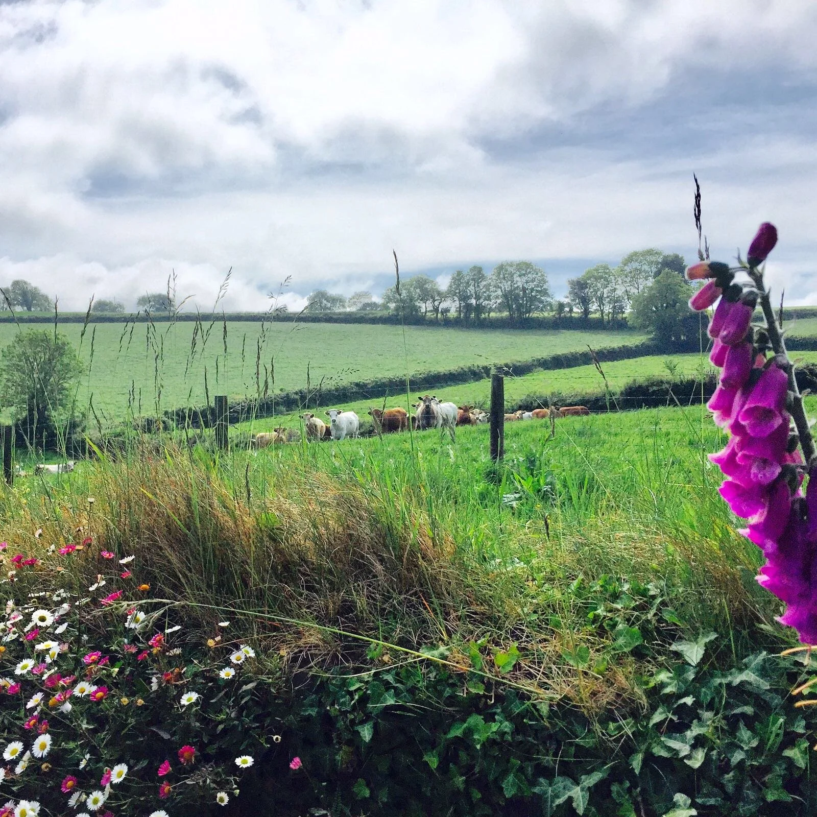 WhatsApp Image 2018-05-02 at 19.00.21.jpeg