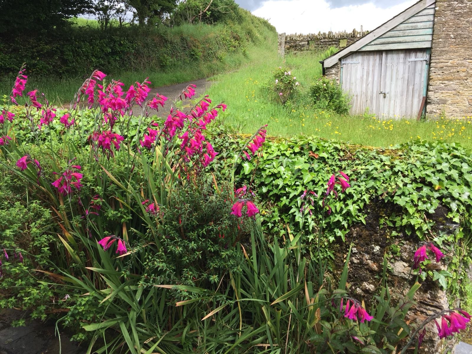 WhatsApp Image 2018-05-02 at 19.00.05 (1).jpeg